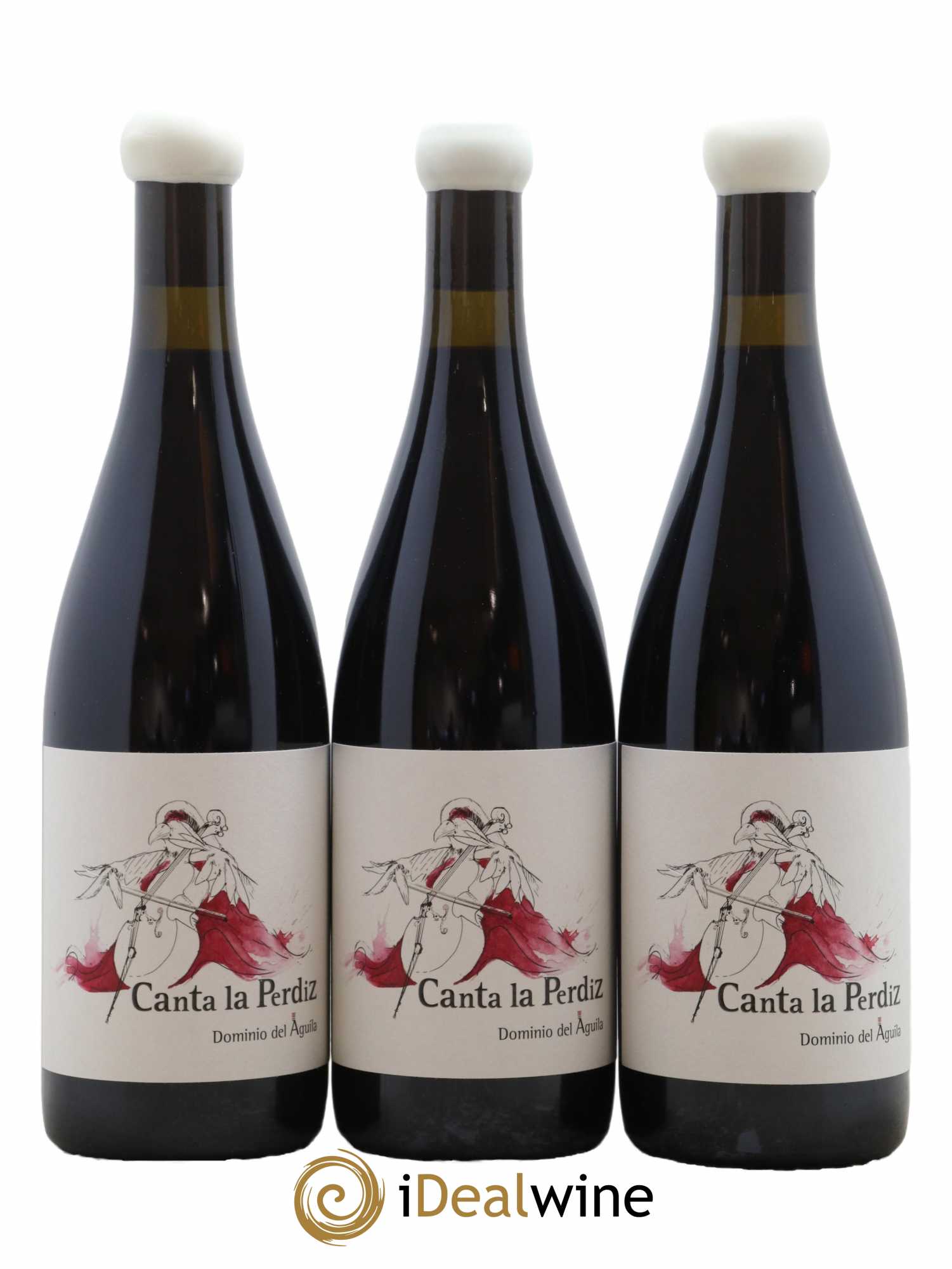 Ribera Del Duero DO 2019 - Posten von 6 Flaschen - 1