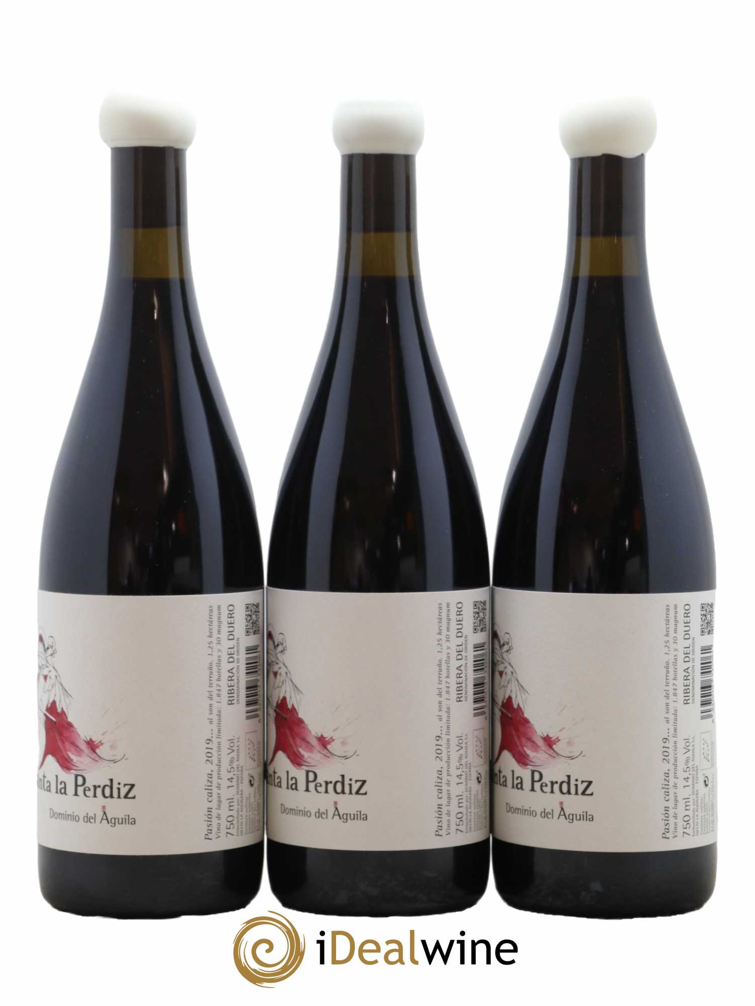 Ribera Del Duero DO 2019 - Posten von 6 Flaschen - 2