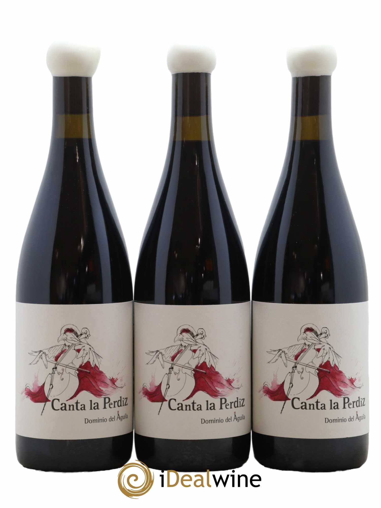 Ribera Del Duero DO 2019 - Posten von 6 Flaschen - 3