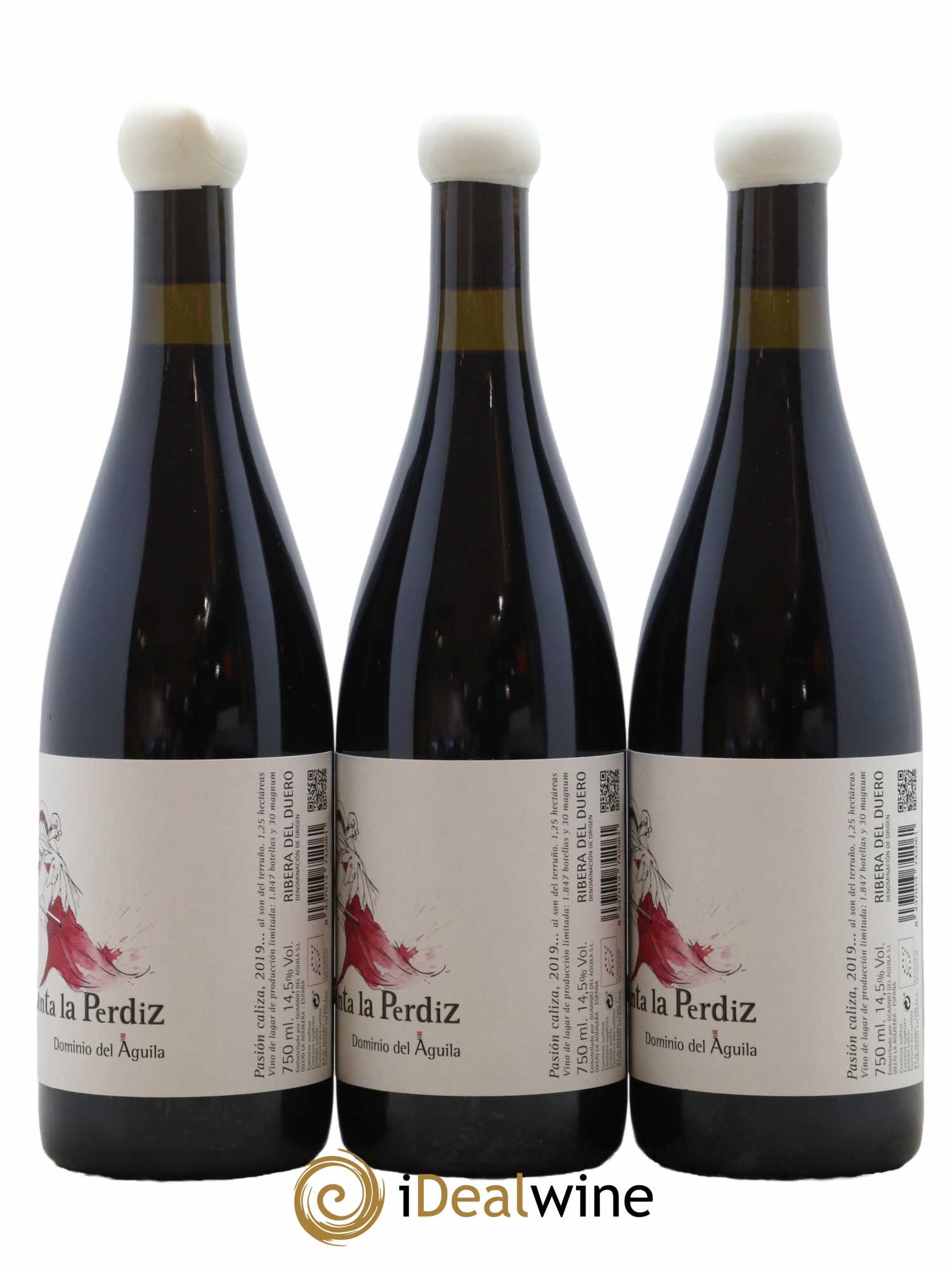 Ribera Del Duero DO 2019 - Posten von 6 Flaschen - 4