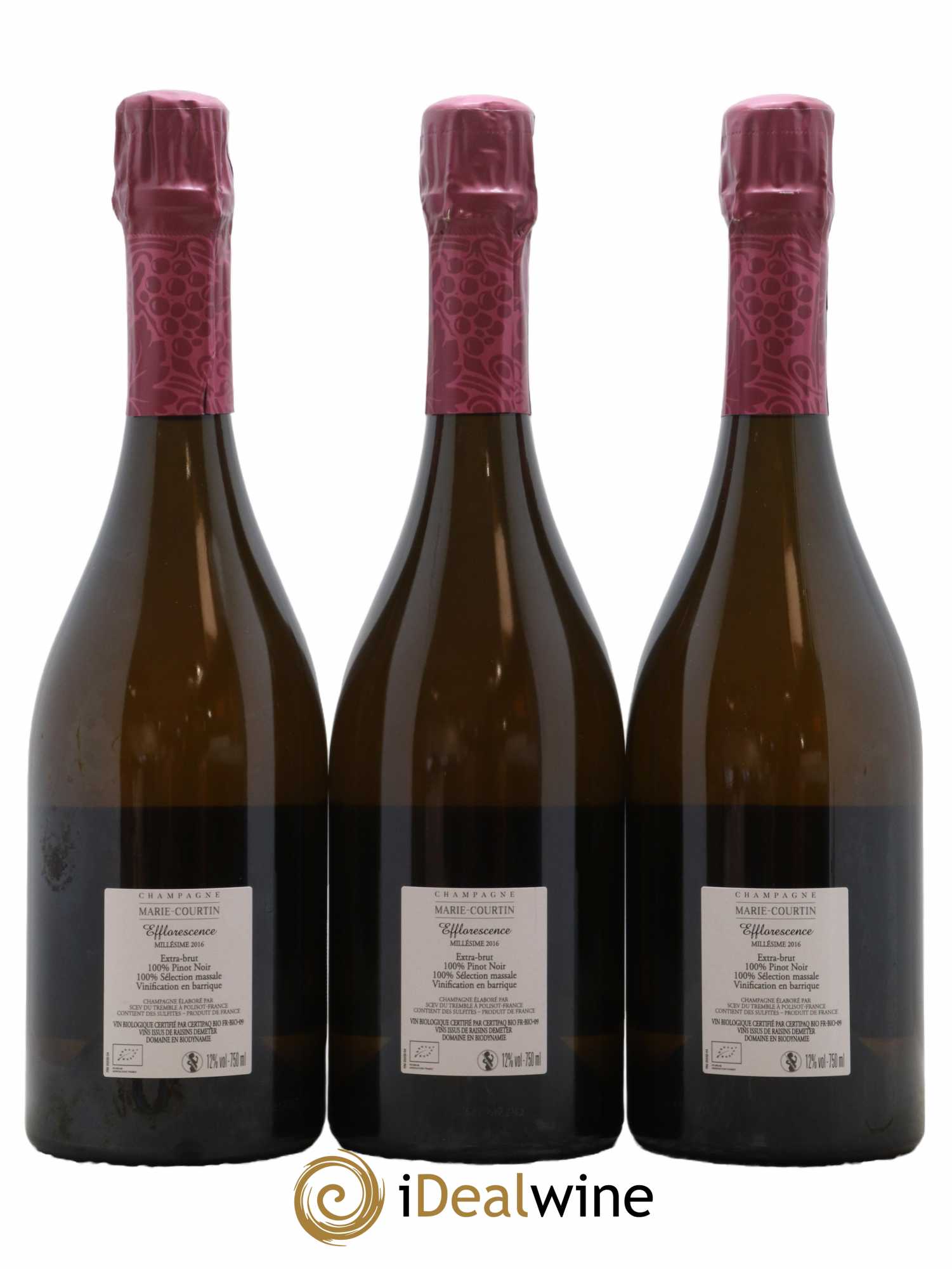 Champagne Extra-Brut Efflorescence Marie Courtin 2016 - Lot de 3 bouteilles - 1