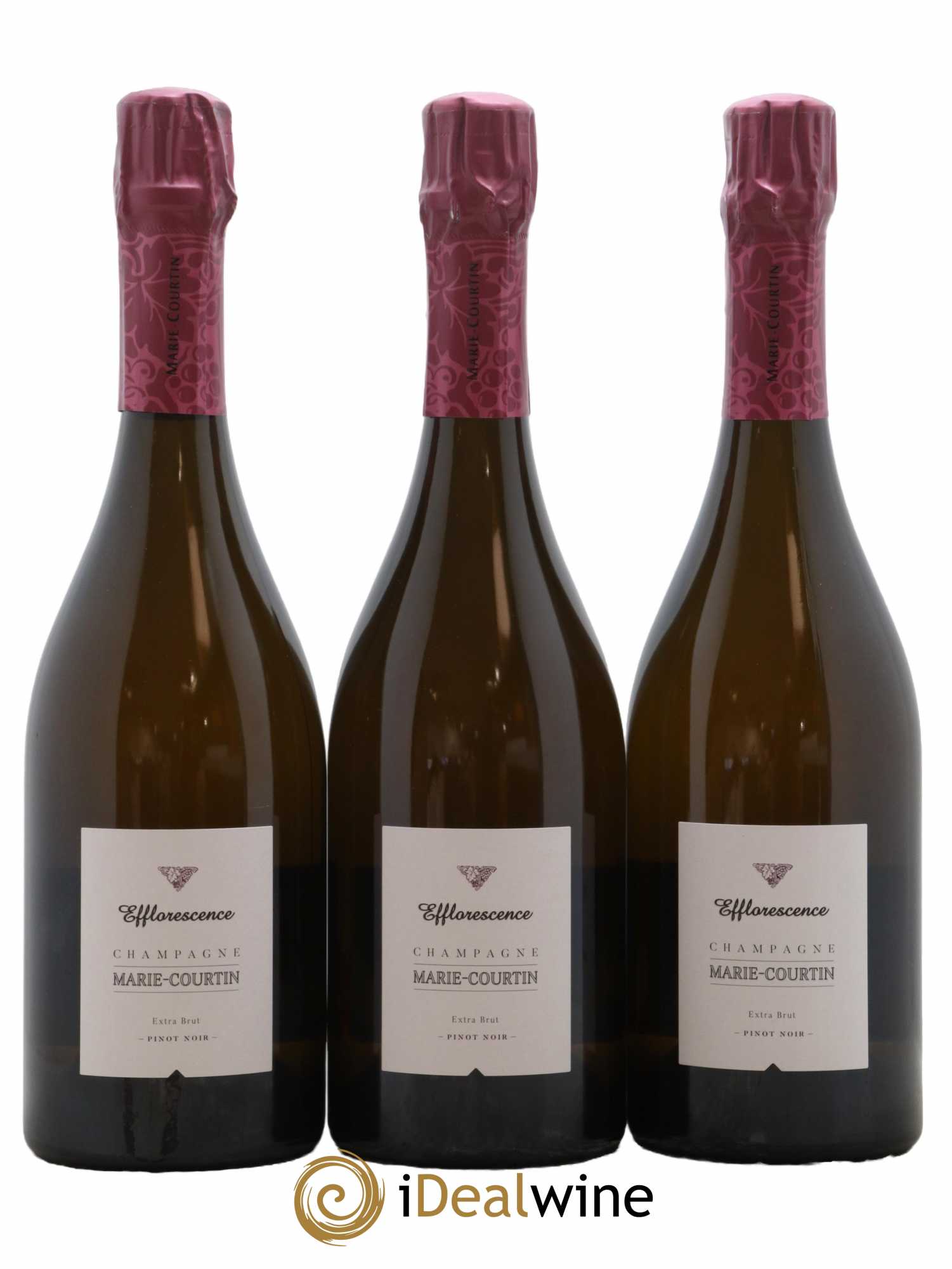 Champagne Extra-Brut Efflorescence Marie Courtin 2016 - Lot de 3 bouteilles - 0