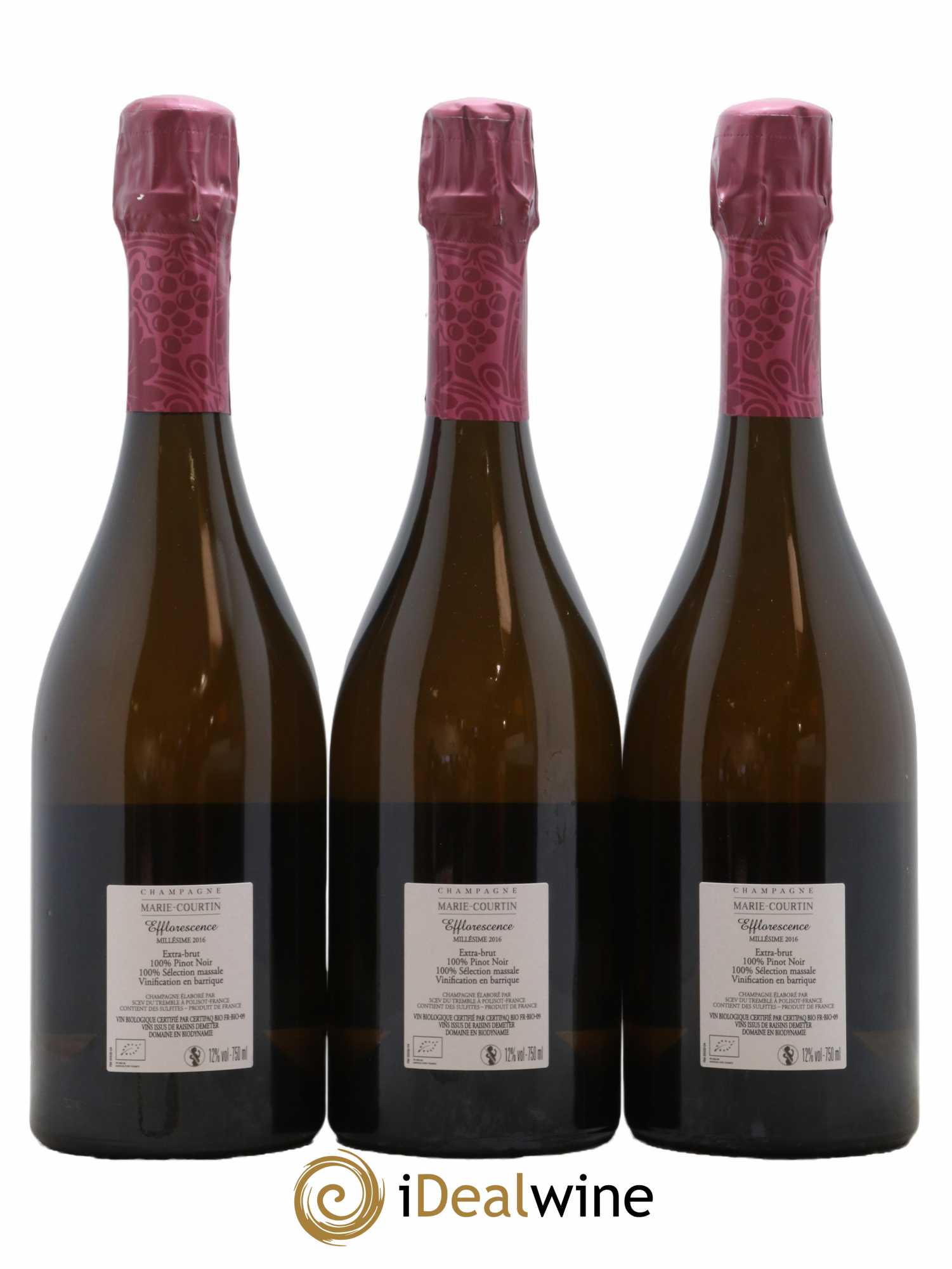 Champagne Extra-Brut Efflorescence Marie Courtin 2016 - Lot de 3 bouteilles - 1