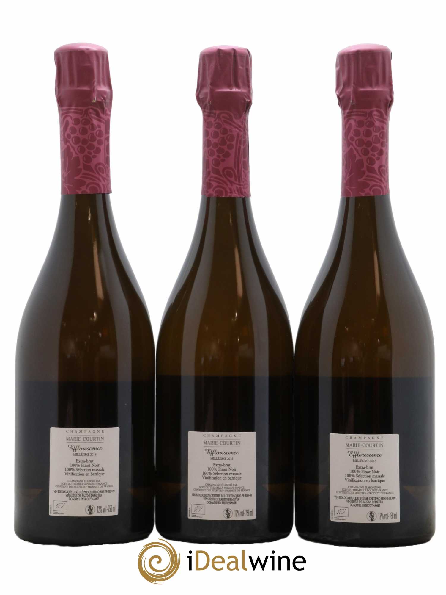 Champagne Extra-Brut Efflorescence Marie Courtin 2016 - Lot de 3 bouteilles - 1