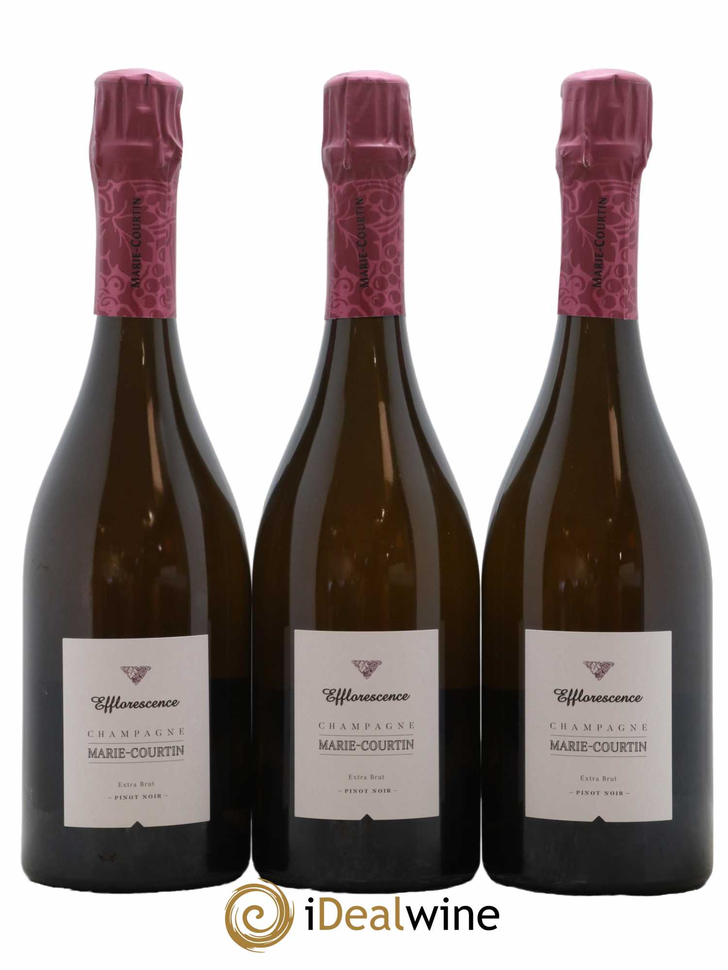 Champagne Extra-Brut Efflorescence Marie Courtin 2016 - Lot de 3 bouteilles - 0