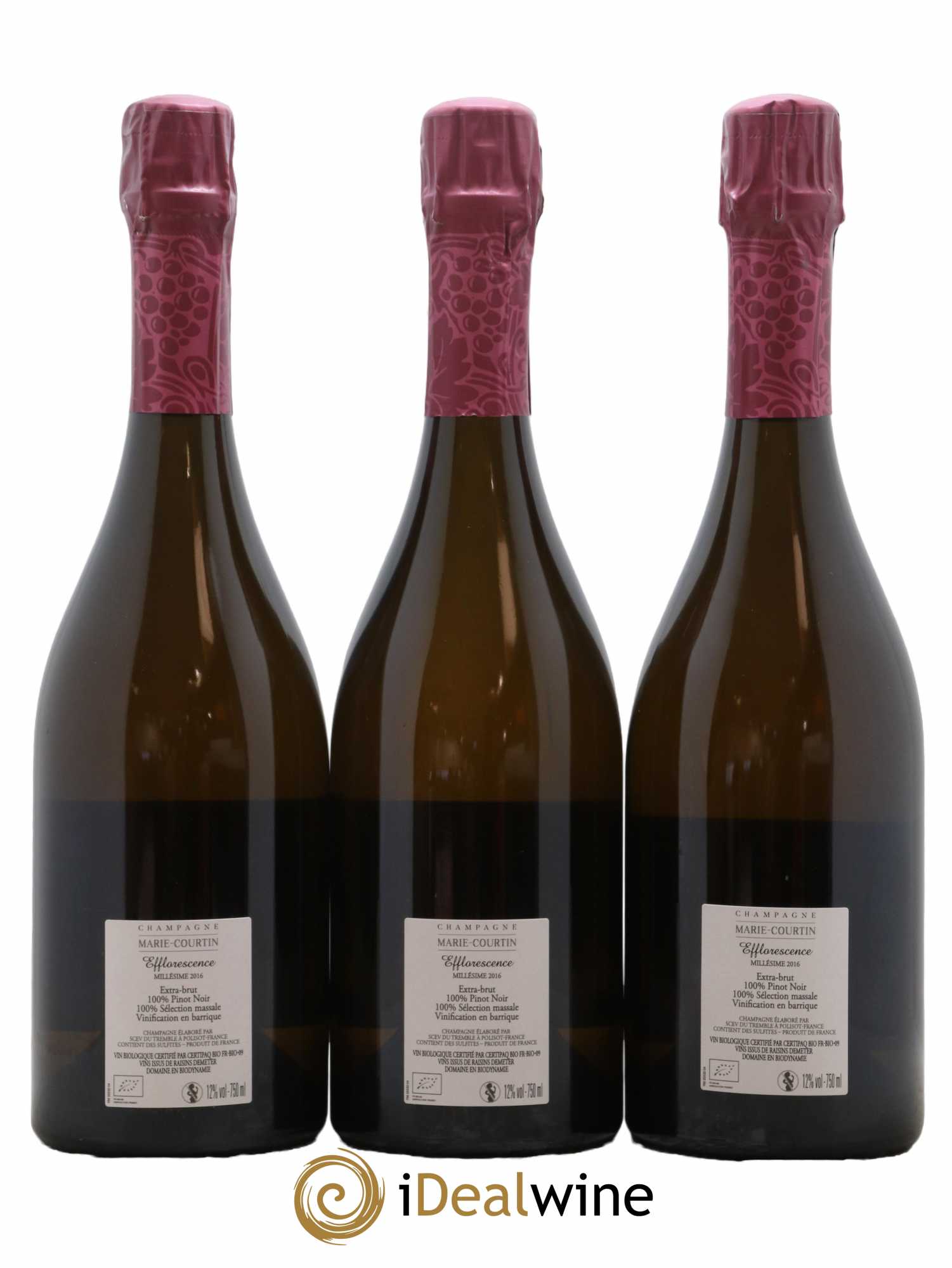 Champagne Extra-Brut Efflorescence Marie Courtin 2016 - Lot de 3 bouteilles - 1