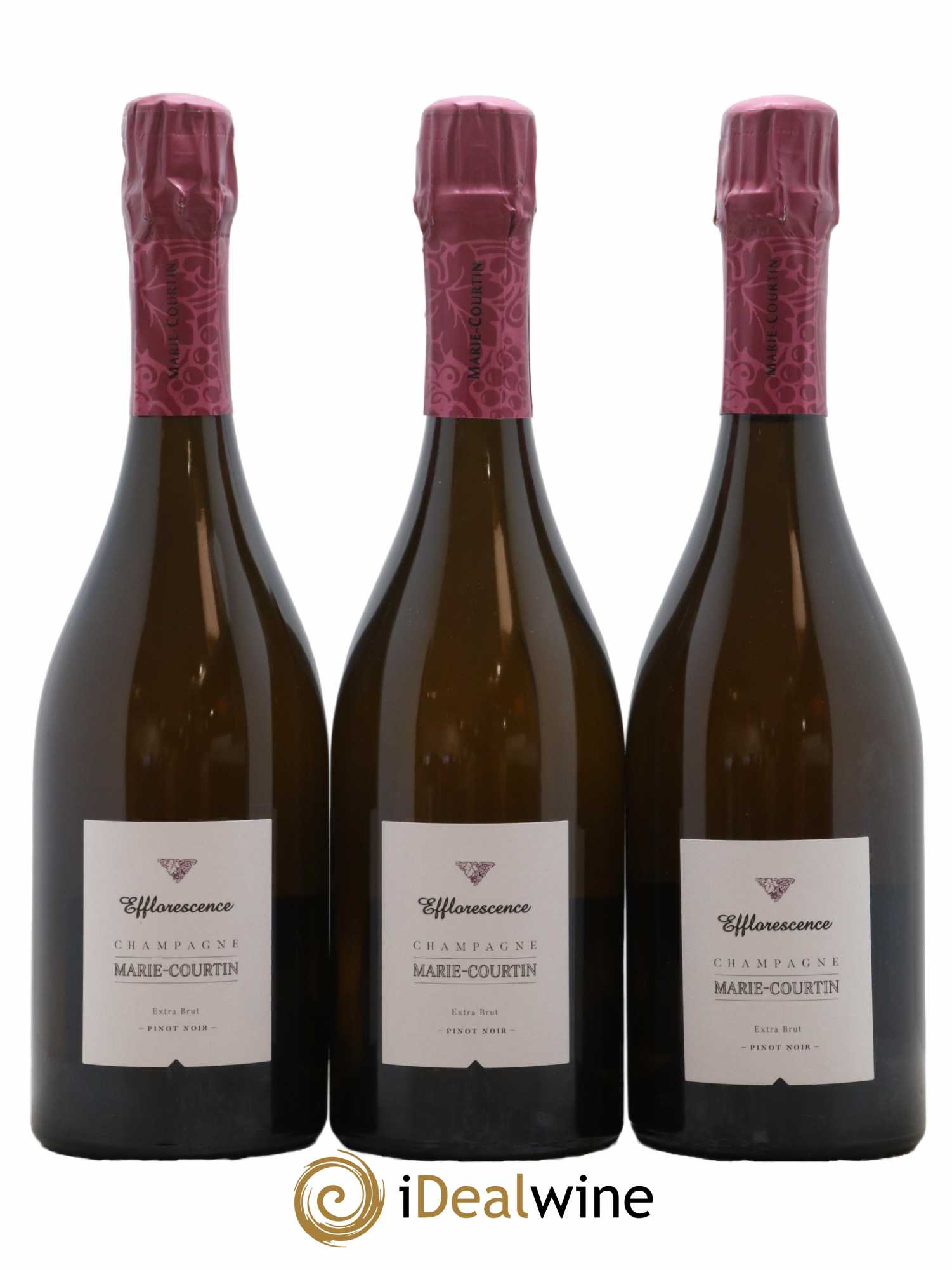 Champagne Extra-Brut Efflorescence Marie Courtin 2016 - Lot de 3 bouteilles - 0