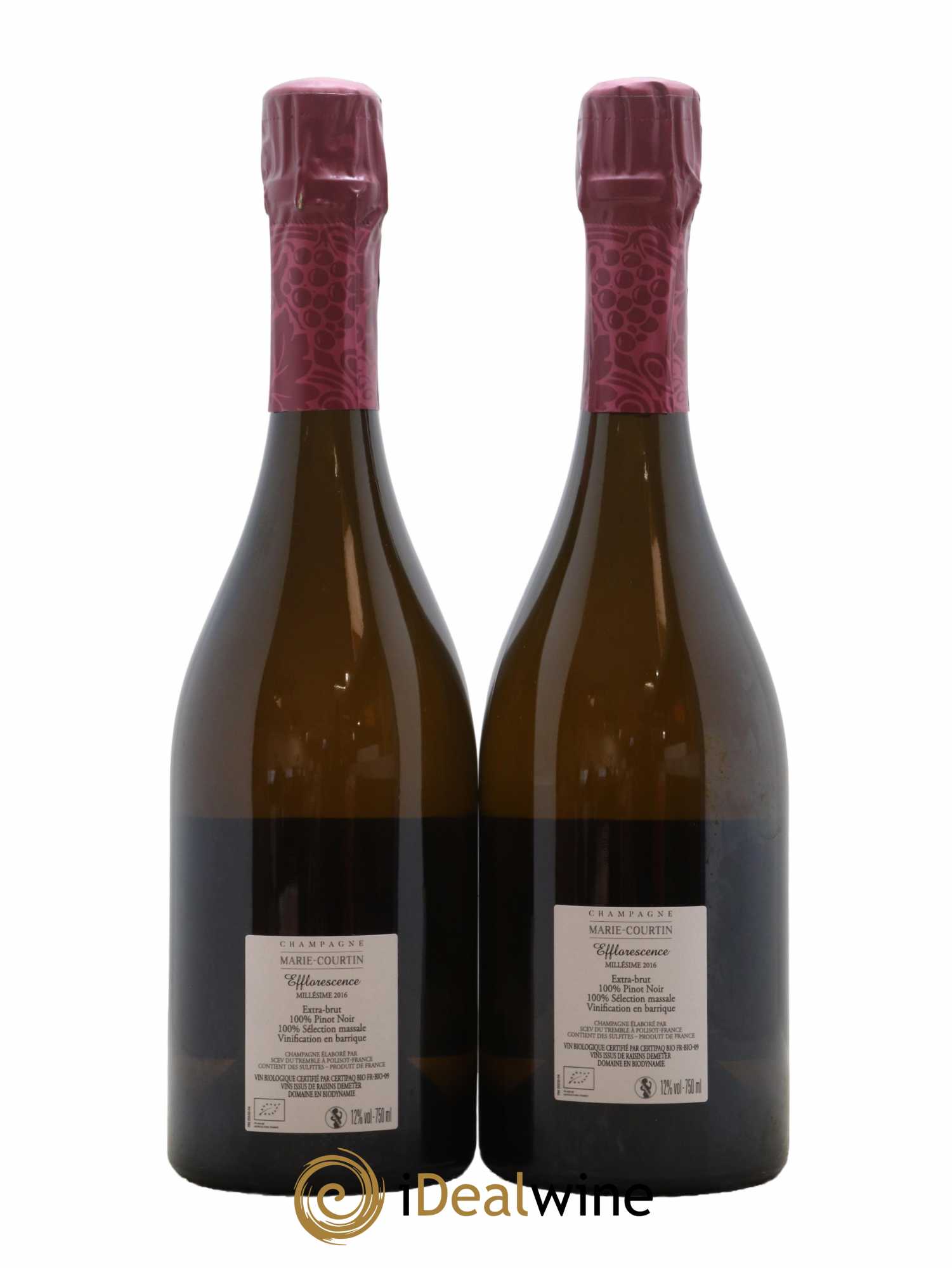 Champagne Extra-Brut Efflorescence Marie Courtin 2016 - Lot de 2 bouteilles - 1