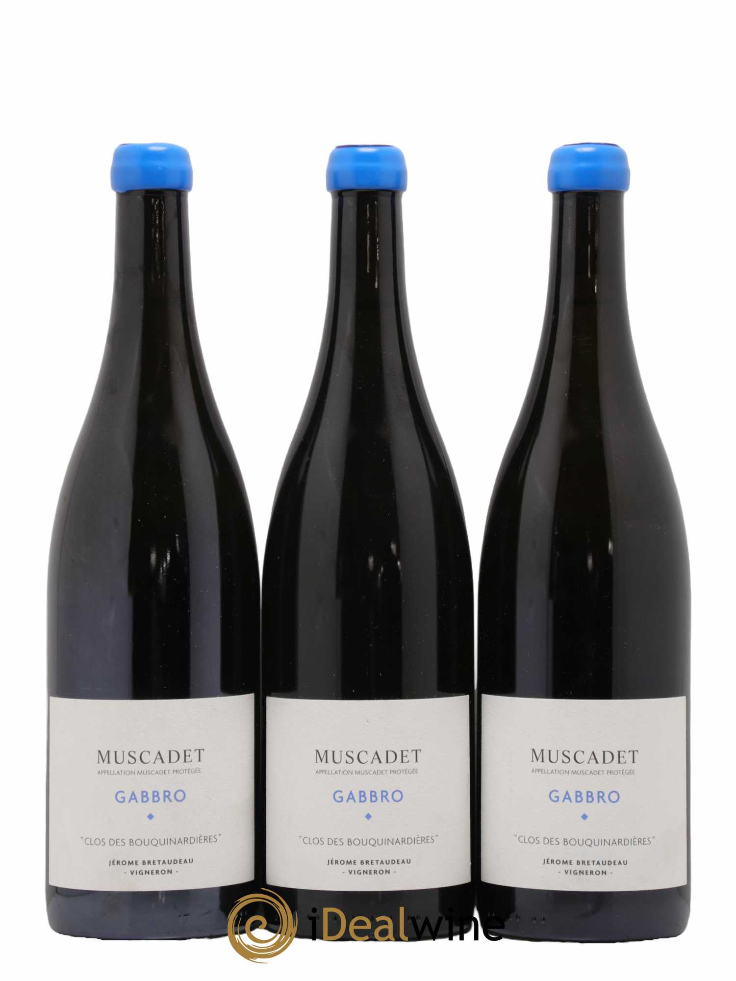 Muscadet-Sèvre-et-Maine Gabbro Clos des Bouquinardières Jérôme Bretaudeau - Domaine de Bellevue 2020 - Lot de 3 bouteilles - 0