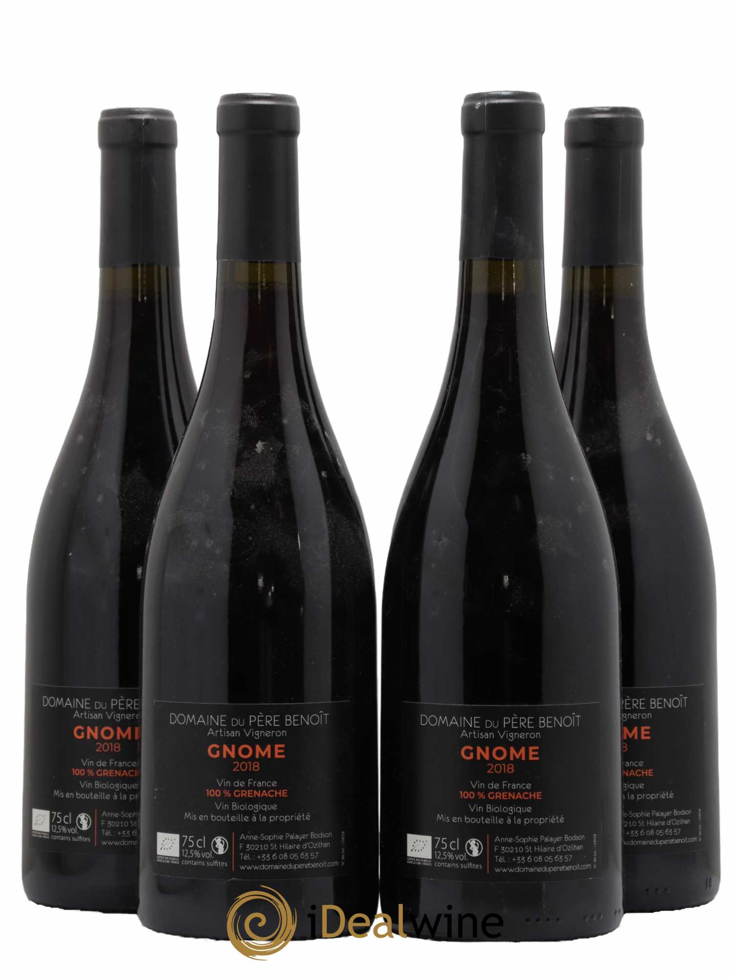Vin de France Gnome Domaine Du Père Benoit 2018 - Lot de 4 bouteilles - 1