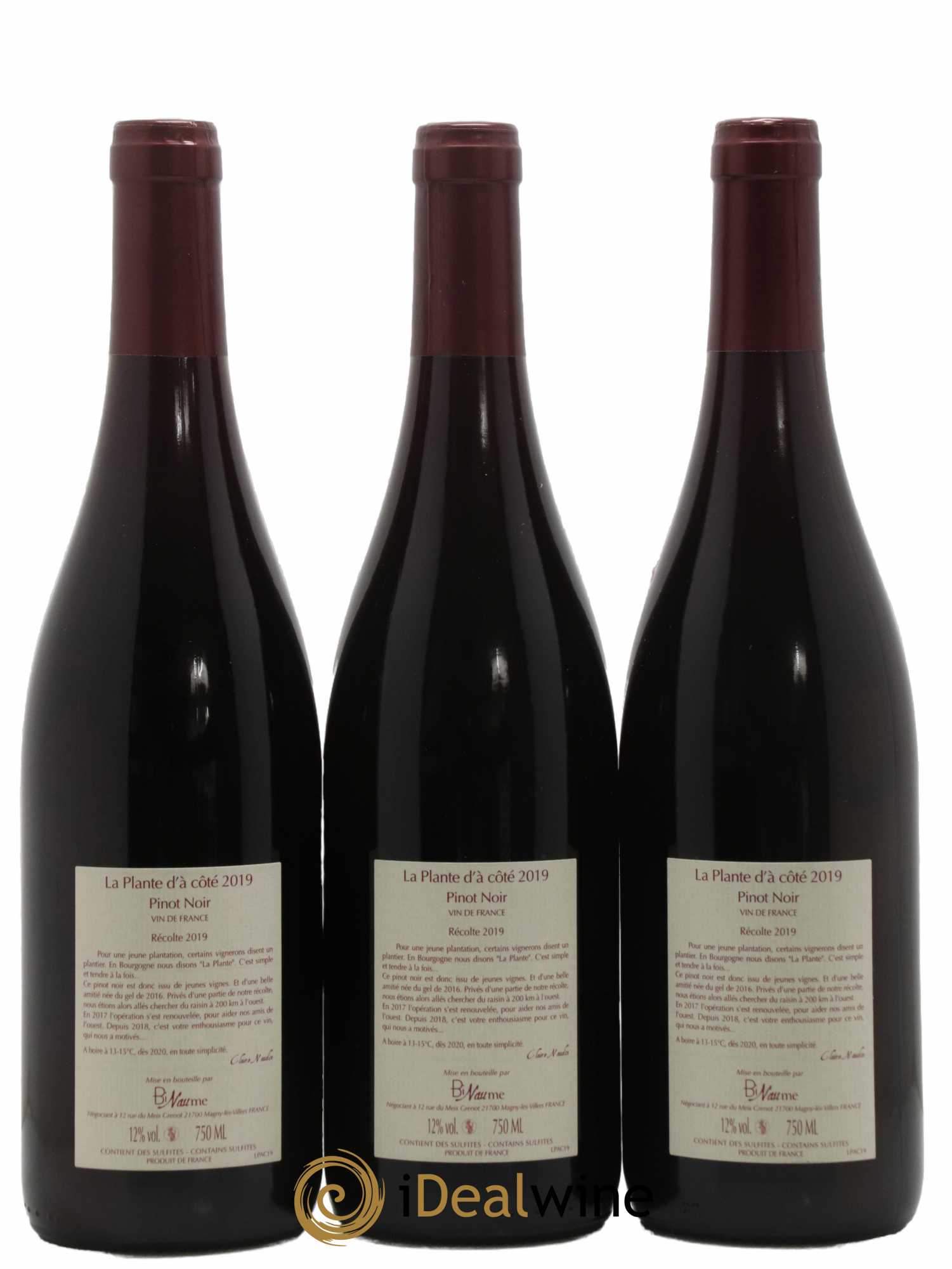 Vin de France La Plante d'à coté Binaume Bizot-Naudin 2019 - Lot de 3 bouteilles - 1