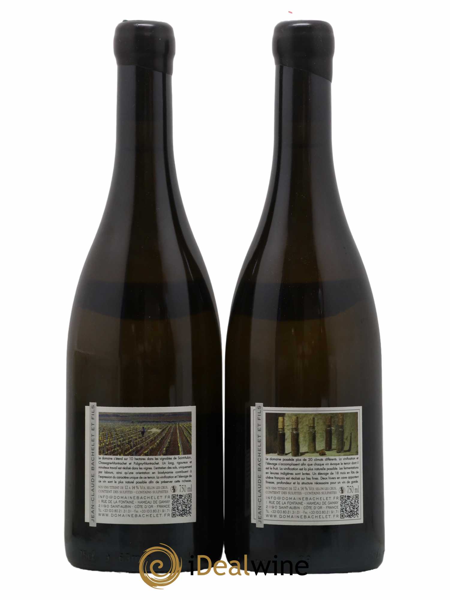 Chassagne-Montrachet 1er Cru Blanchot Dessus Jean-Claude Bachelet (Domaine) 2012 - Lotto di 2 bottiglie - 1