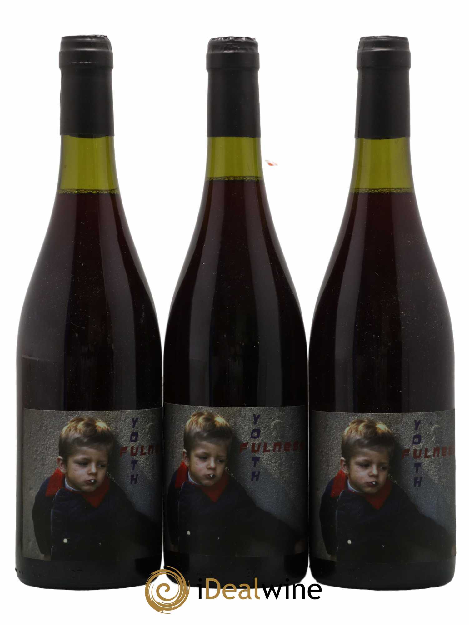 Vin de France Youthfulness Verre de Terre Benoit Rosenberger 2019 - Lot de 3 bouteilles - 0