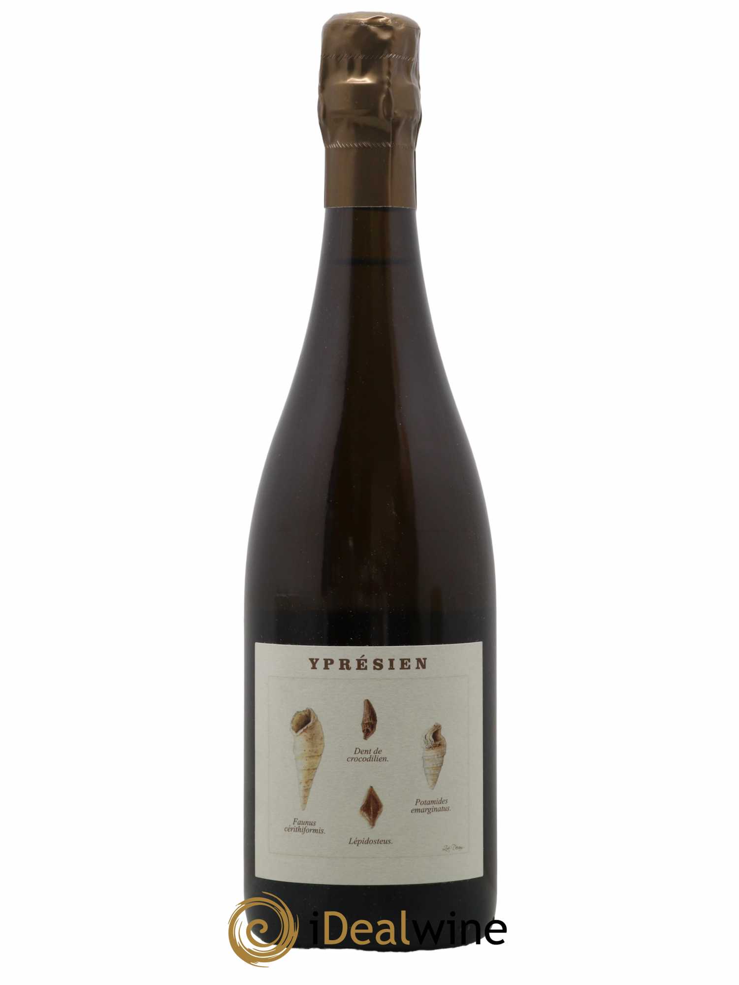 Yprésien Legrand Latour - Lot de 1 bouteille - 0