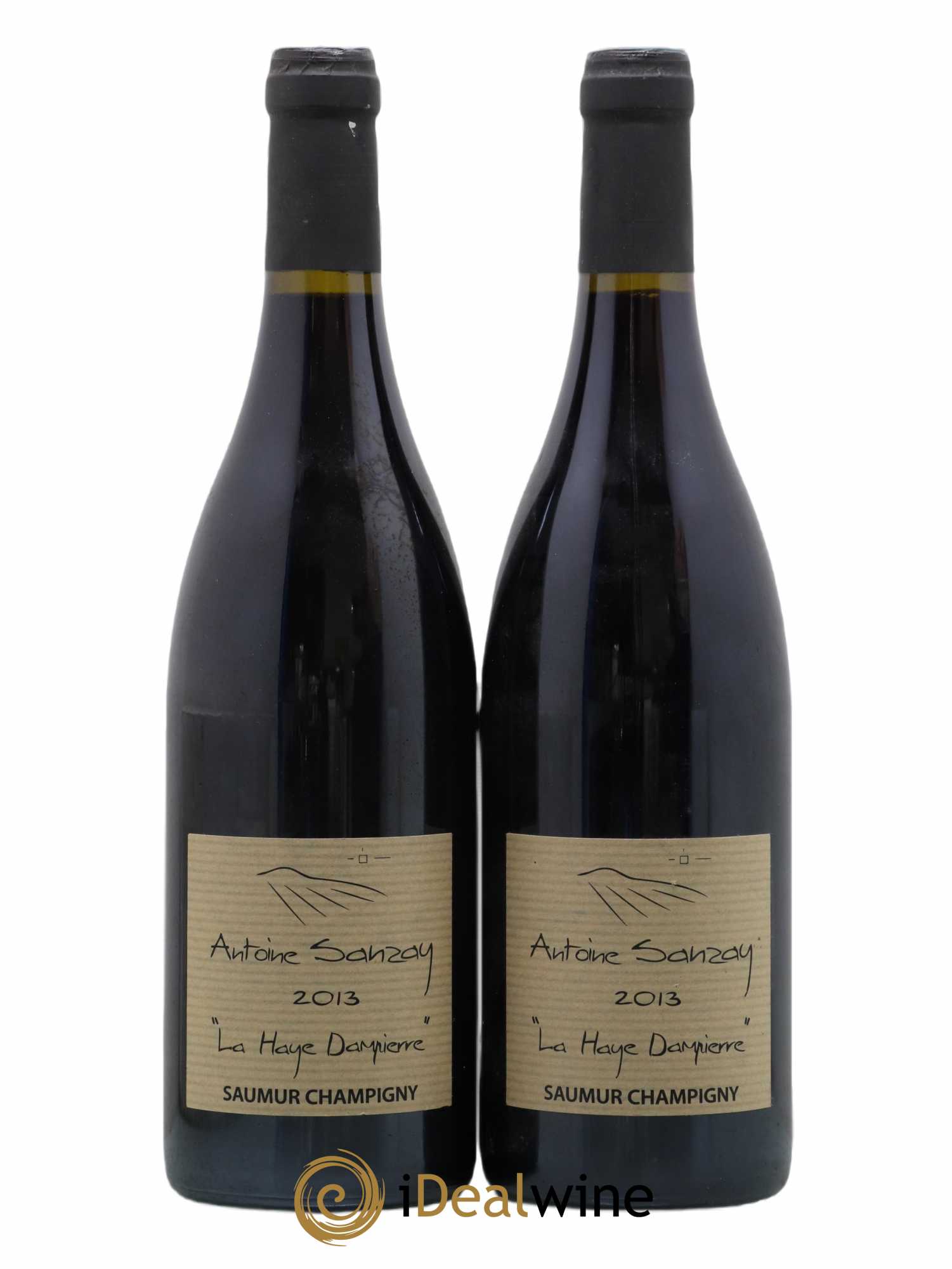 Saumur-Champigny La Haye Dampierre Antoine Sanzay (sans prix de réserve) 2013 - Lot de 2 bouteilles - 0