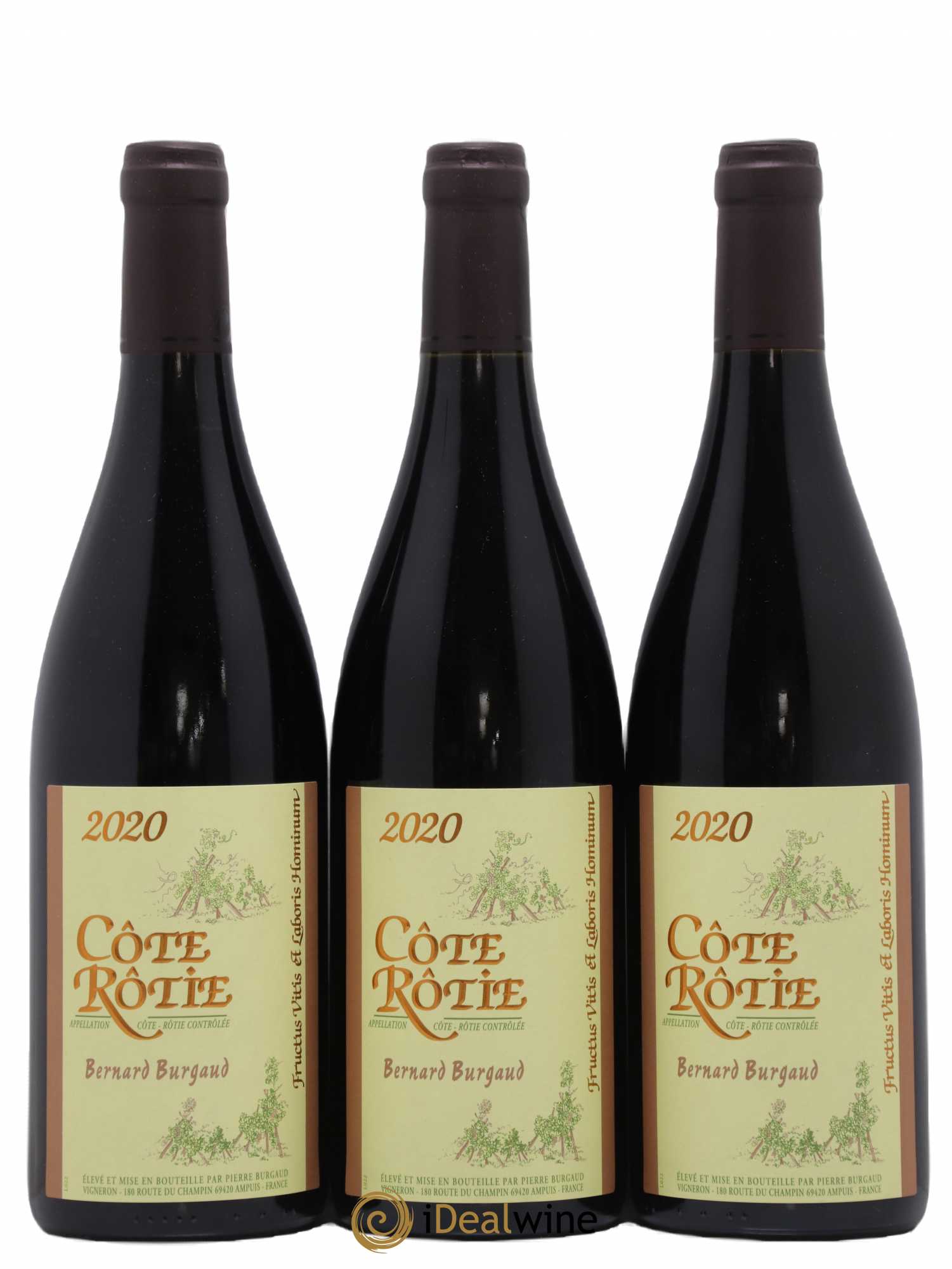 Côte-Rôtie Bernard Burgaud 2020 - Lot de 3 bouteilles - 0