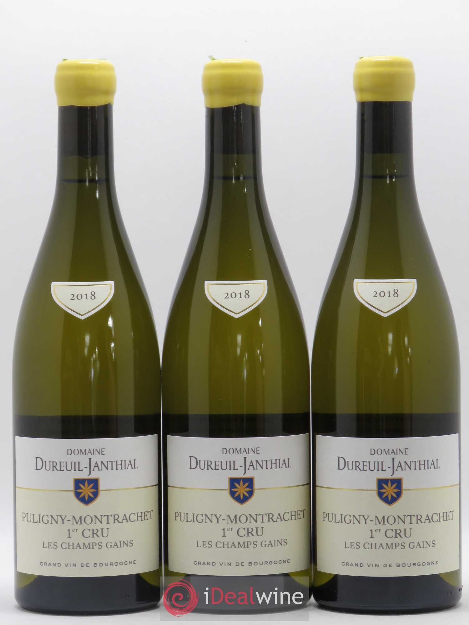 Puligny-Montrachet 1er Cru Les Champs Gains Vincent Dureuil-Janthial 2018 - Lot de 3 bouteilles - 0