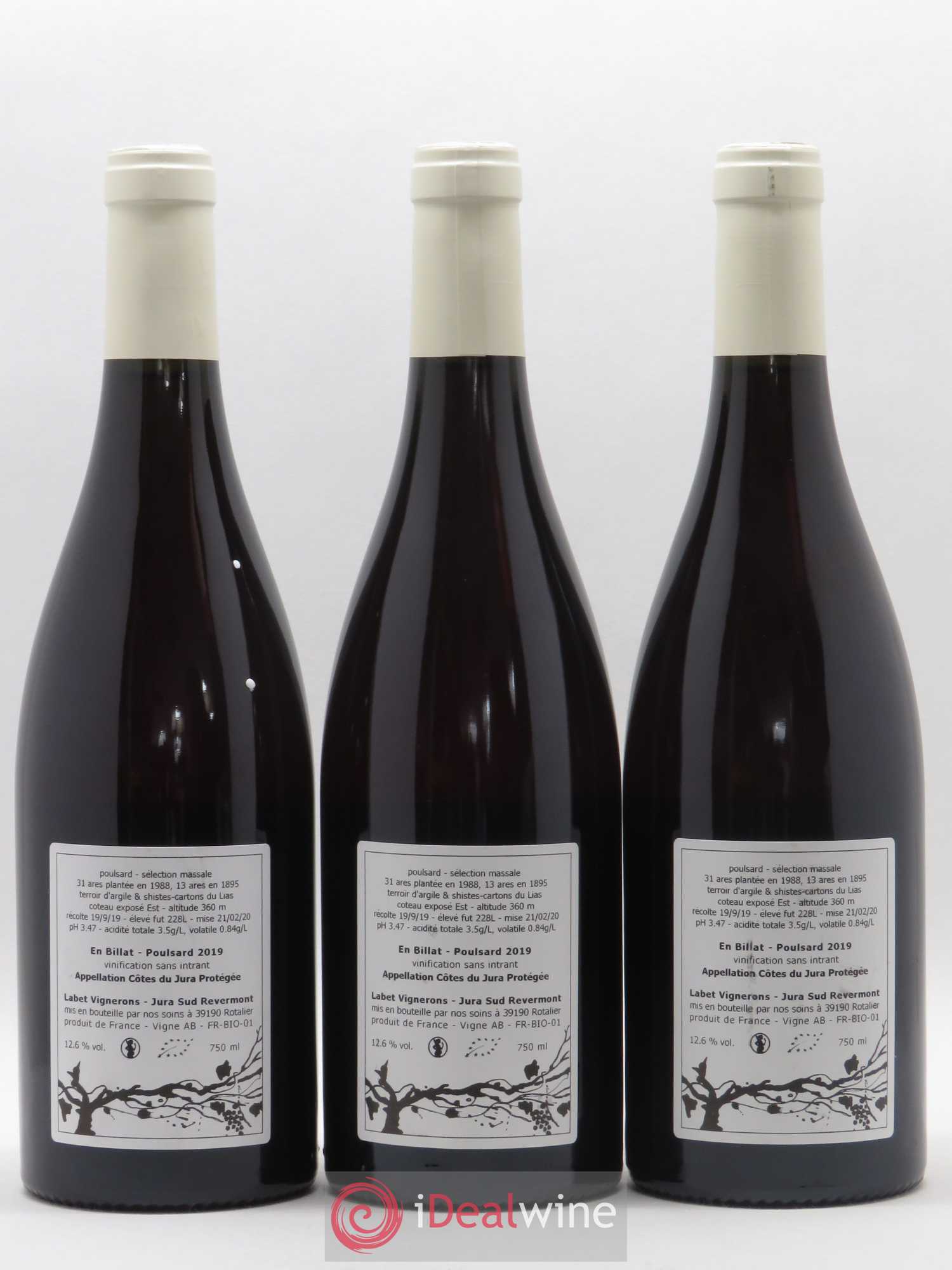 Côtes du Jura Poulsard En Billat Romain - Julien  - Charline Labet Sélection Massale 2019 - Lot de 3 bouteilles - 1