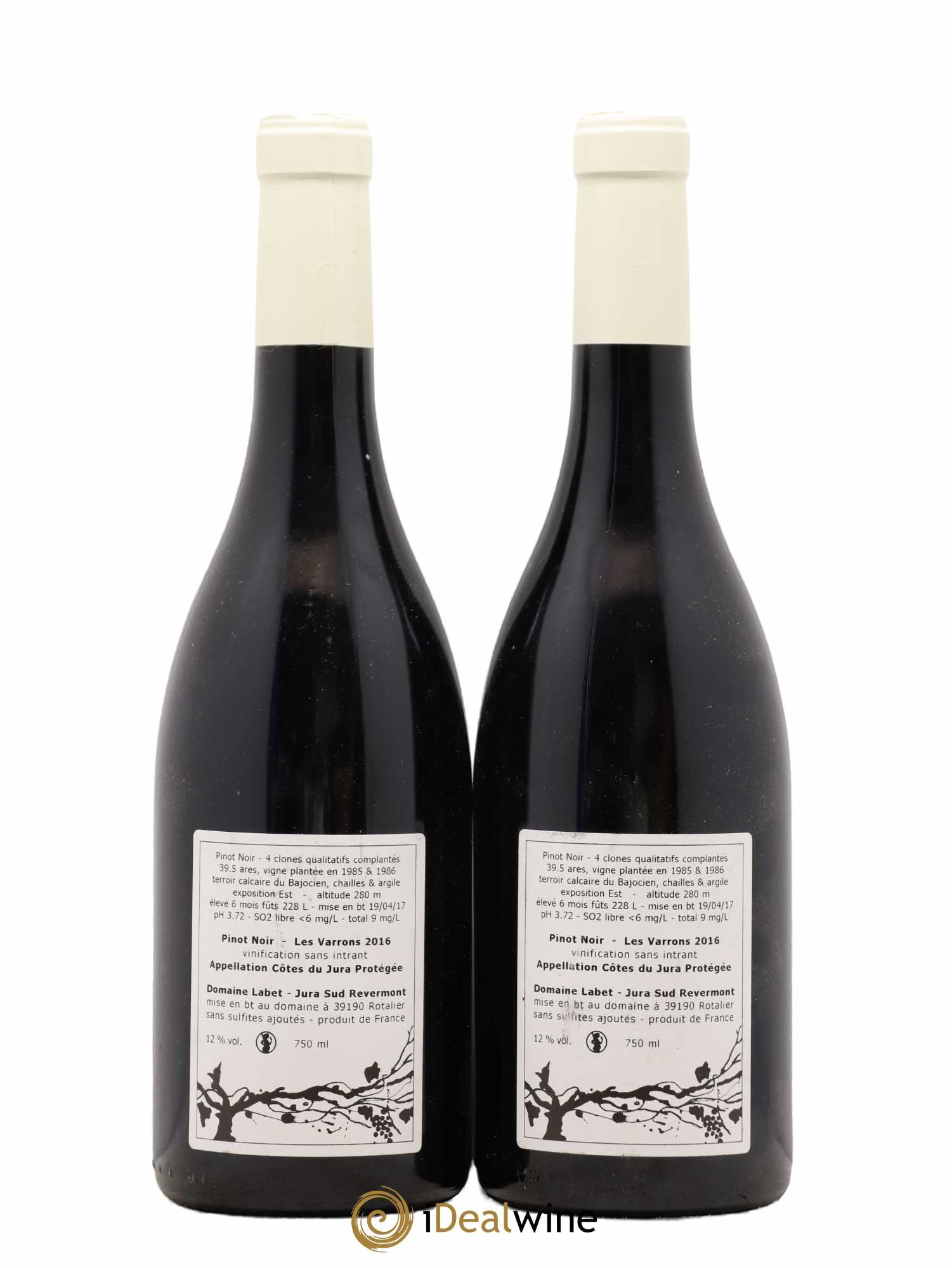 Côtes du Jura Pinot Noir Les Varrons Sélection Massale Romain - Julien - Charline Labet 2016 - Lot de 2 bouteilles - 1