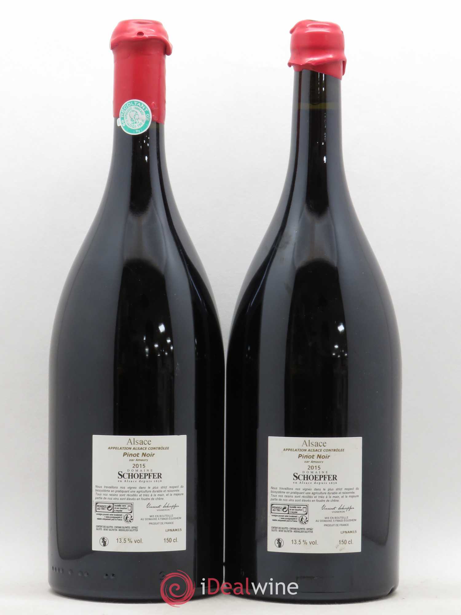 Pinot Noir Alsace Amaury Schoepfer 2015 - Posten von 2 Magnum - 1
