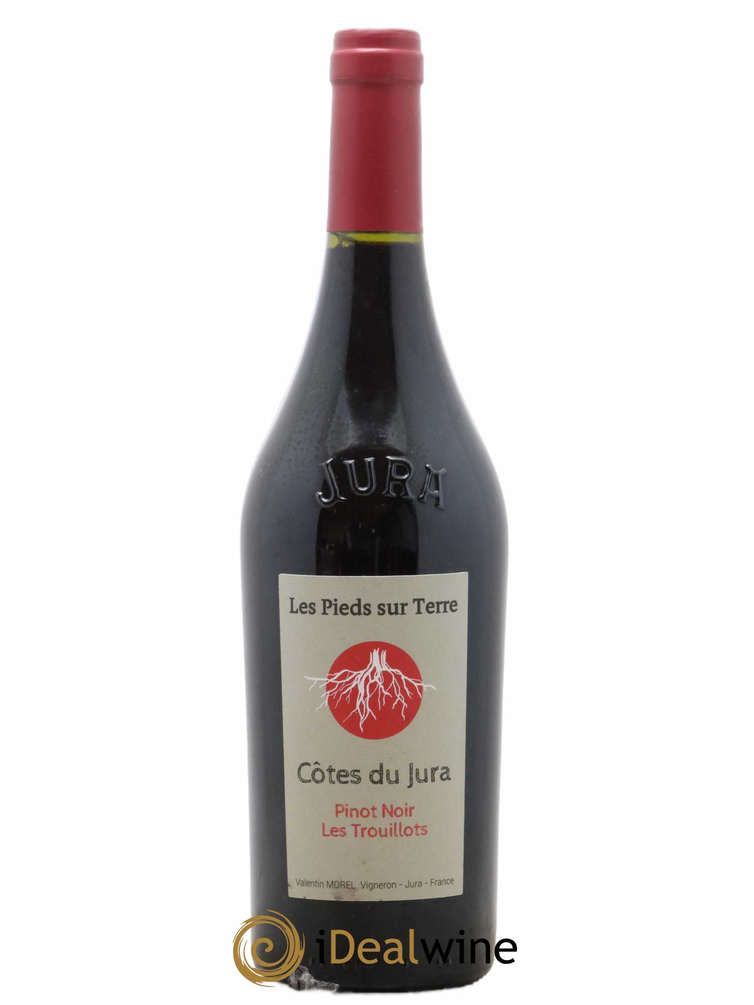 Côtes du Jura 2020 - Posten von 1 Flasche - 0