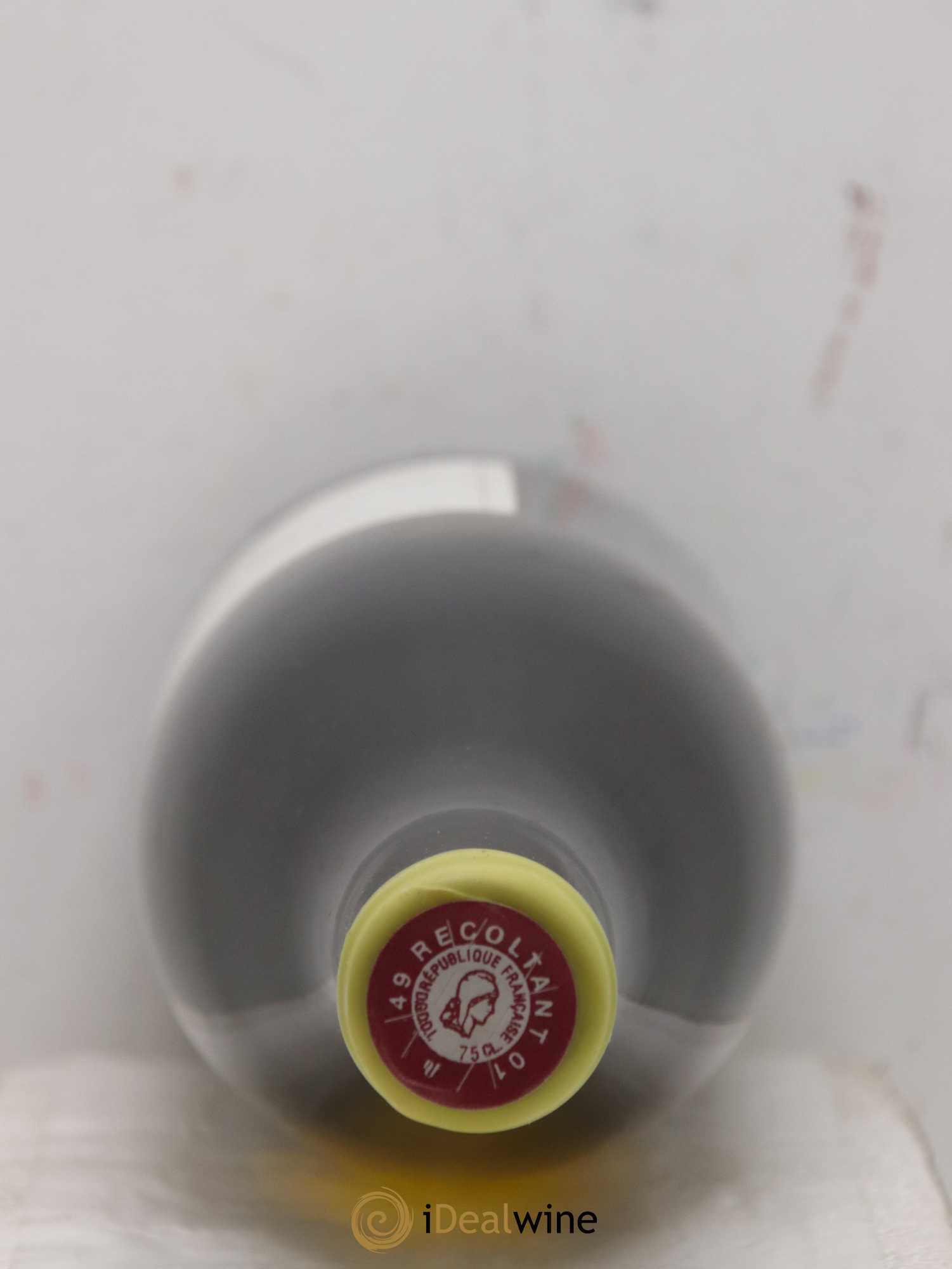 Vin de France Les Onglés Stéphane Bernaudeau 2020 - Lot de 1 bouteille - 1