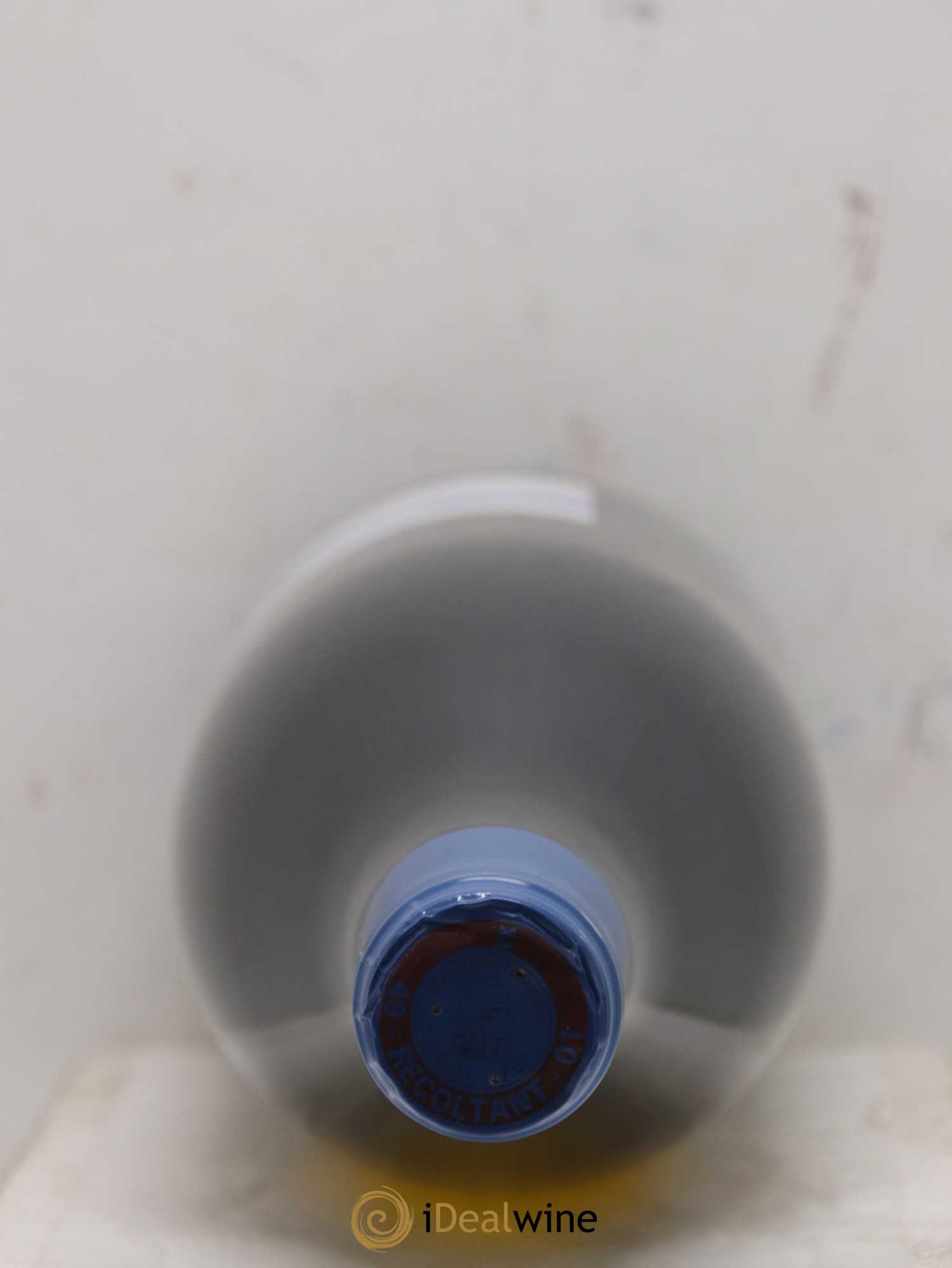 Vin de France Les Noëls de Montbenault Richard Leroy 2017 - Lot de 1 bouteille - 1