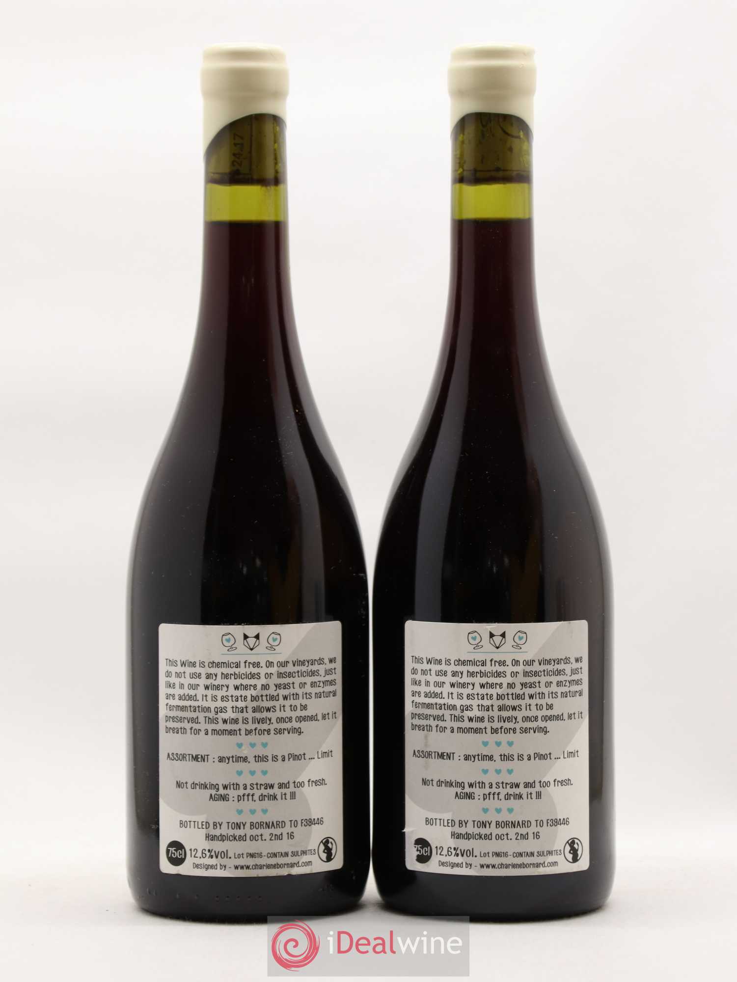 Vin de France Pinot Ctambule Tony Bornard 2016 - Posten von 2 Flaschen - 1