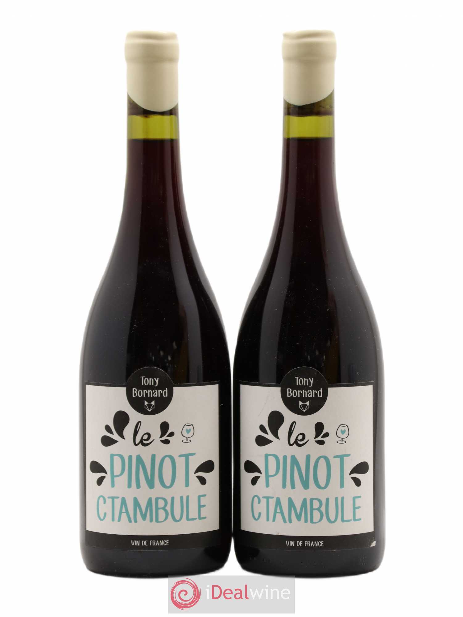 Vin de France Pinot Ctambule Tony Bornard 2016 - Posten von 2 Flaschen - 0