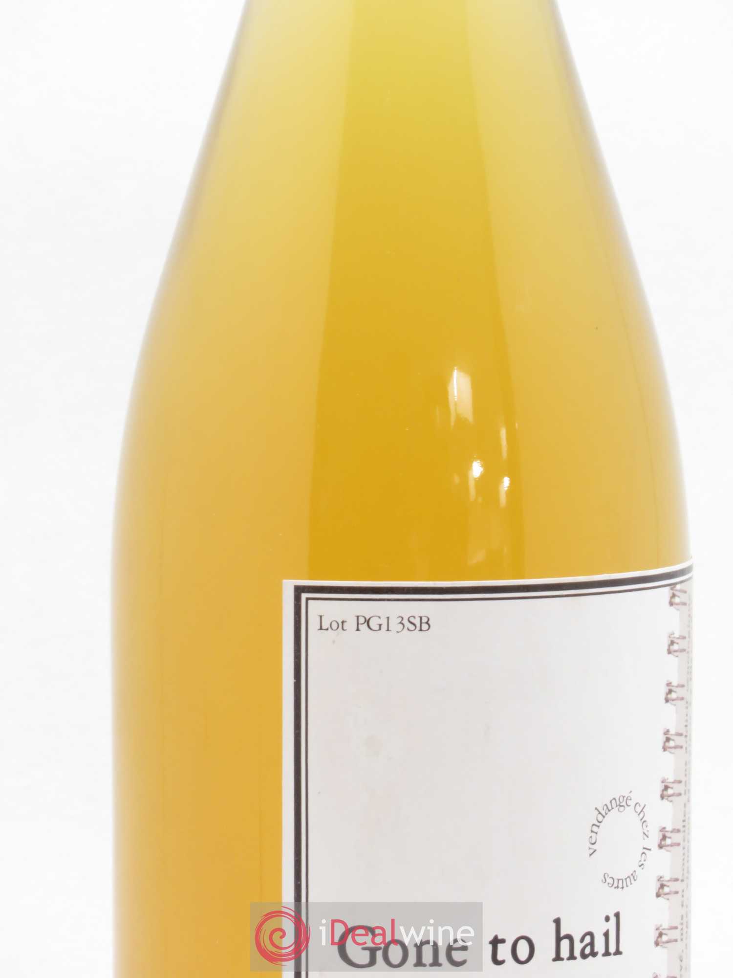Vin de France Gone To Hail Pierre Beauger 2013 - Lot de 1 bouteille - 1