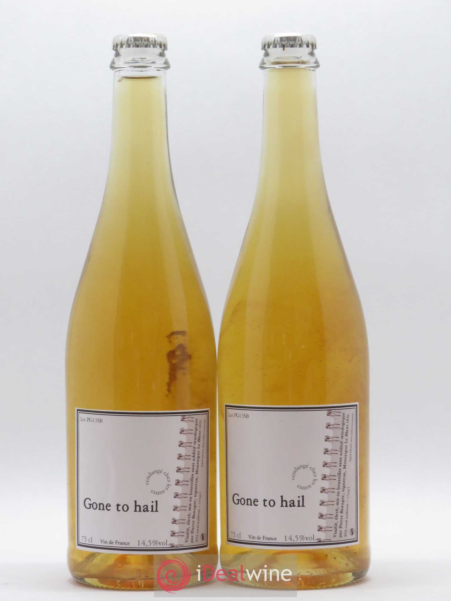 Vin de France Gone to Hail Pierre Beauger 2013 - Lot de 2 bouteilles - 0