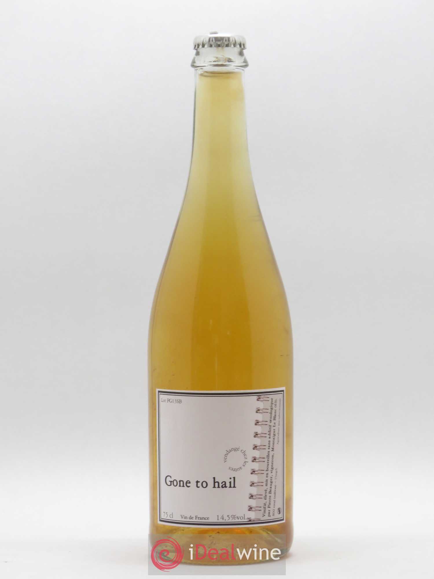 Vin de France Gone to Hail Pierre Beauger 2013 - Lot de 1 bouteille - 0