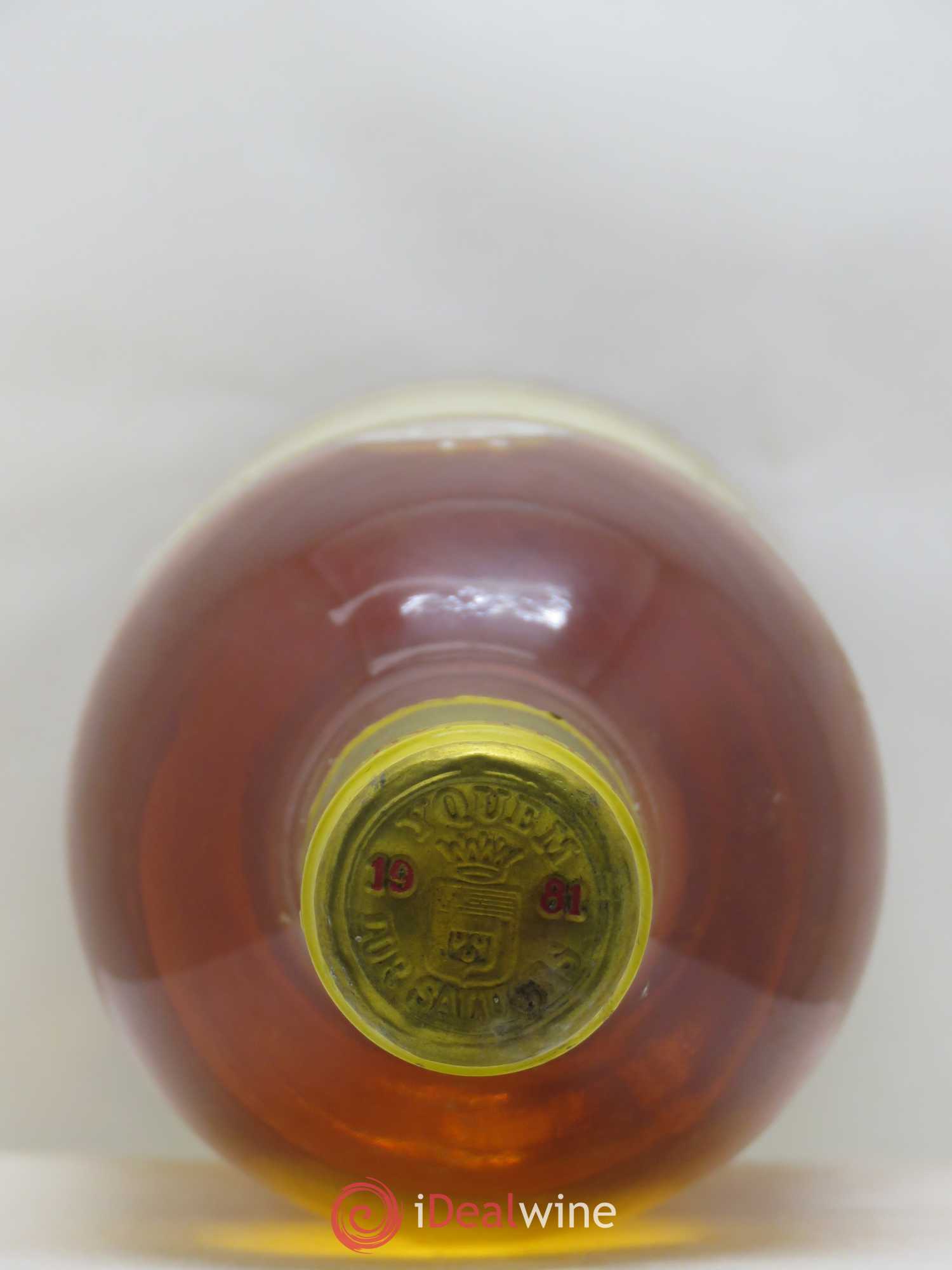 Château d' Yquem 1er Cru Classé Supérieur 1981 - Lotto di 1 bottiglia - 1
