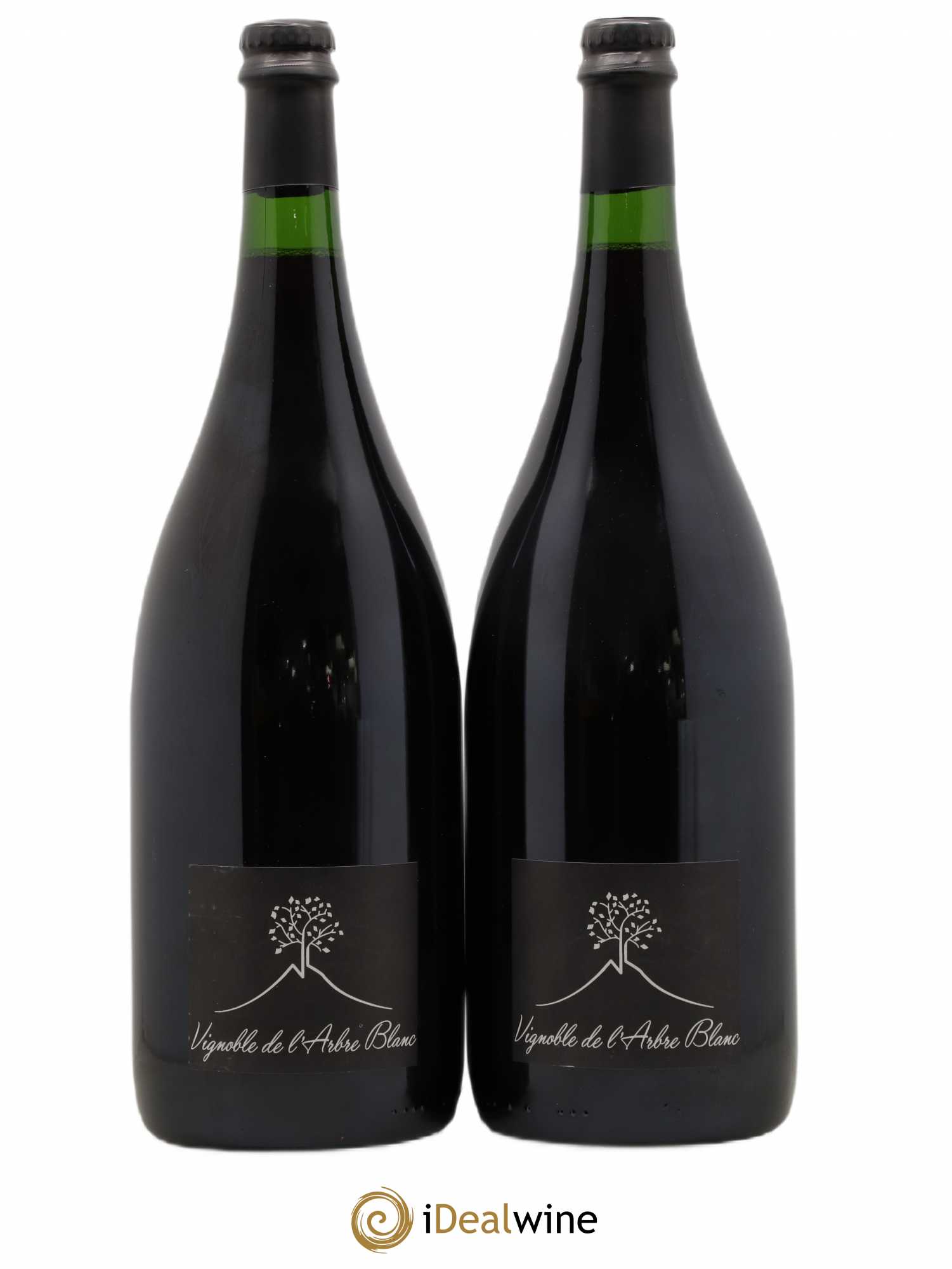 Vin de France Les Orgues Vignoble de l'Arbre Blanc 2018 - Lot de 2 magnums - 0