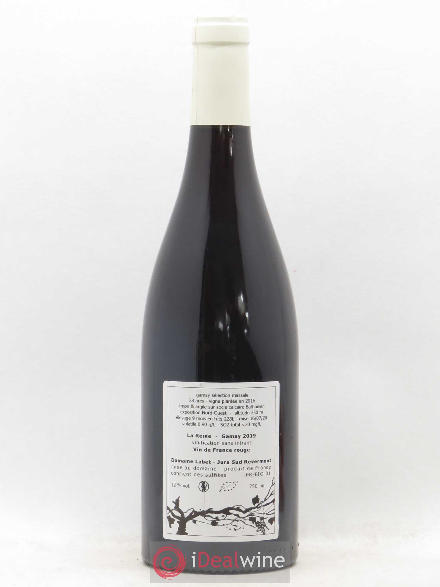 Vin de France Gamay La Reine Labet (Domaine) 2019 - Lot de 1 bouteille - 1