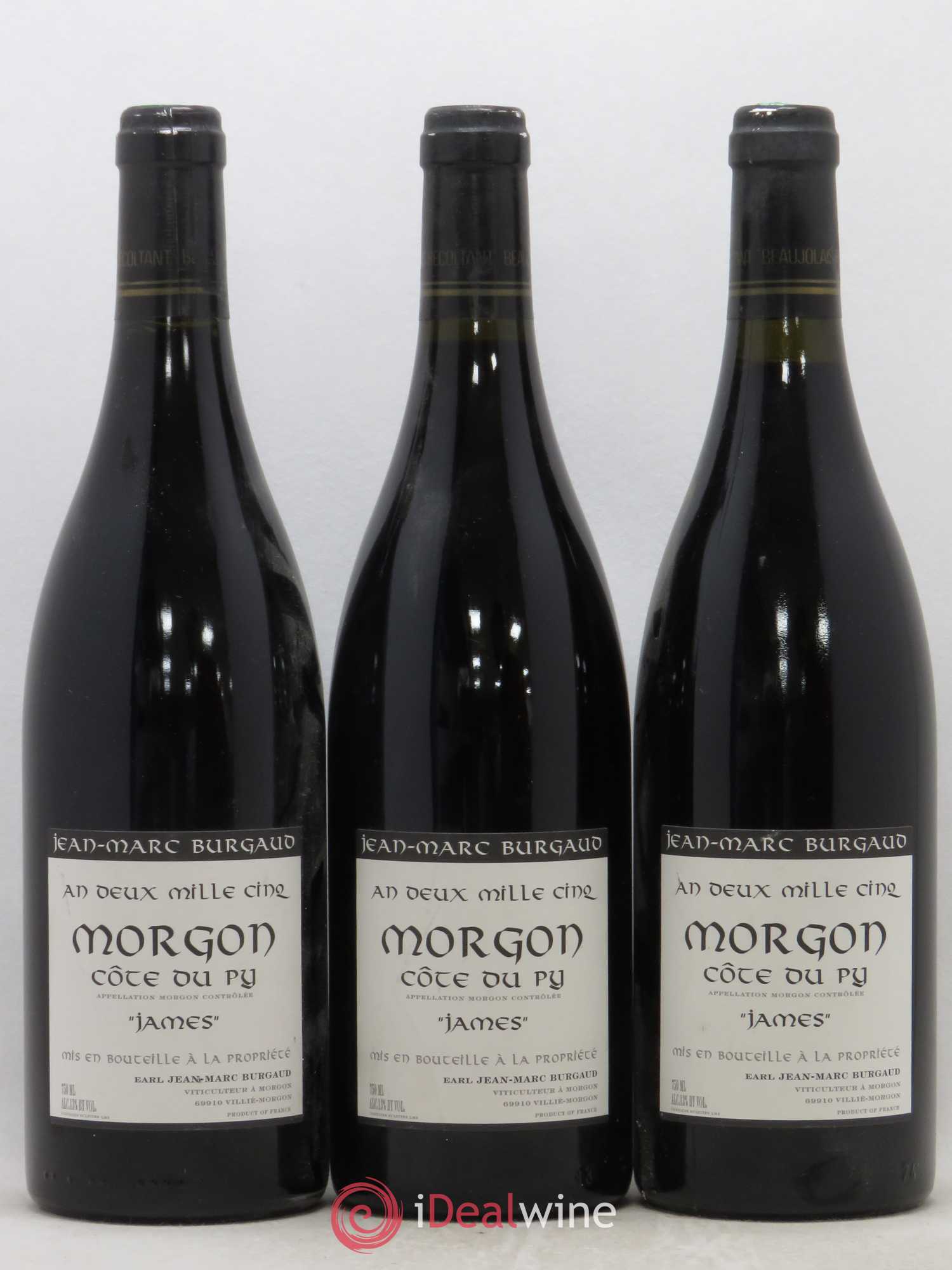 Morgon Côte du Py James Jean-Marc Burgaud (Domaine) 2005 - Lot de 3 bouteilles - 0