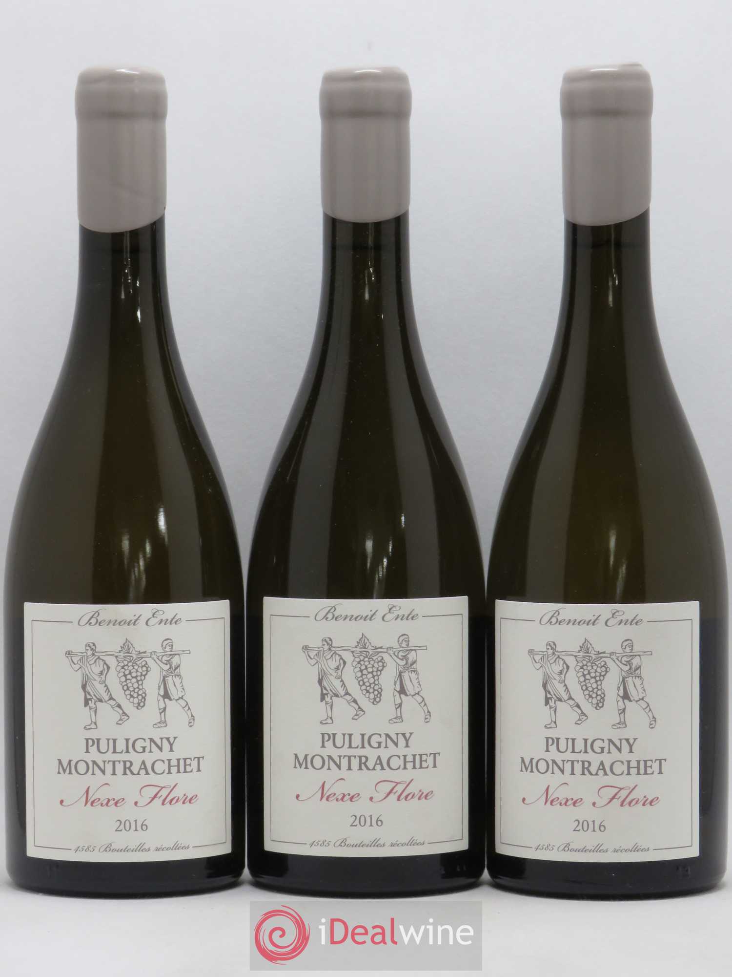 Puligny-Montrachet Nexe Flore Benoit Ente 2016 - Lot de 3 bouteilles - 0