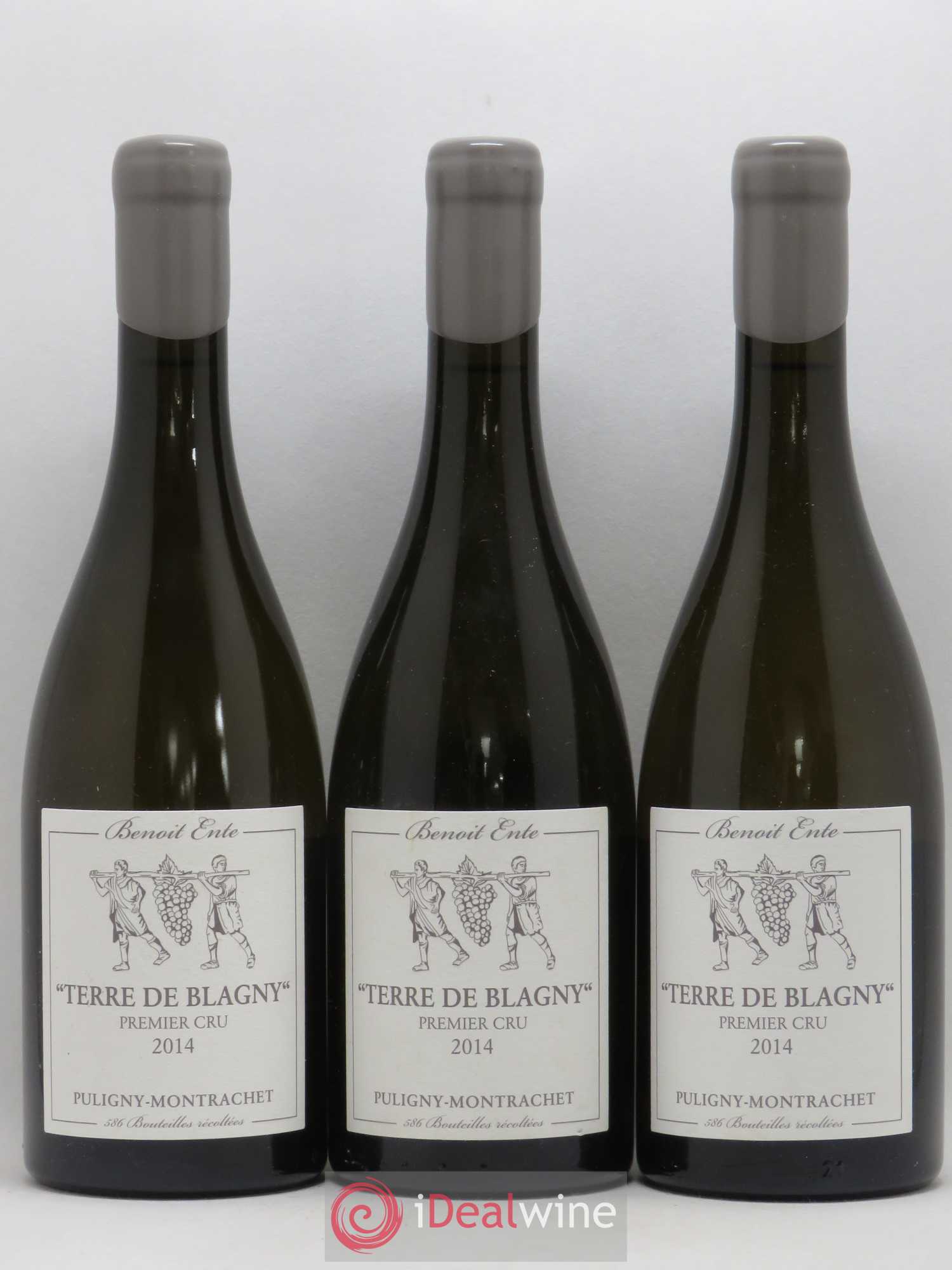 Puligny-Montrachet 1er Cru Sous le Puits Terre de Blagny Benoît Ente 2014 - Posten von 3 Flaschen - 0