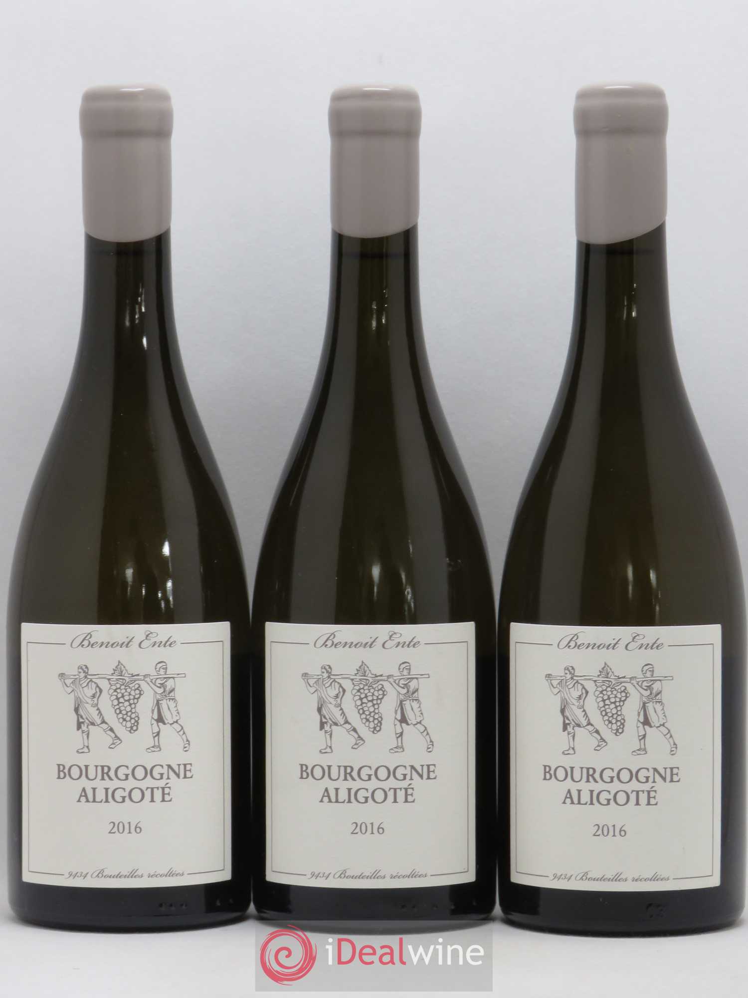 Bourgogne Aligoté Benoit Ente 2016 - Lot de 3 bouteilles - 0