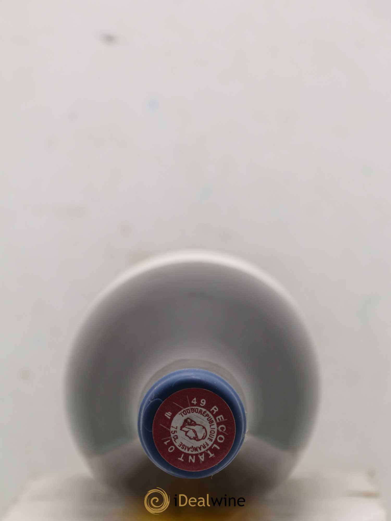 Vin de France Les Nourrissons Stéphane Bernaudeau 2019 - Lot de 1 bouteille - 1