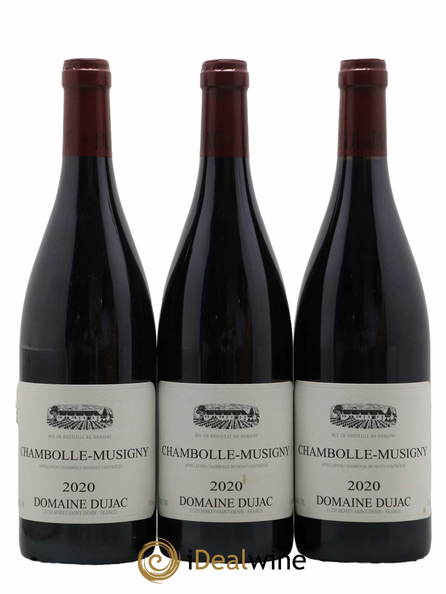 Chambolle-Musigny Dujac (Domaine) 2020 - Lot de 3 bouteilles - 0