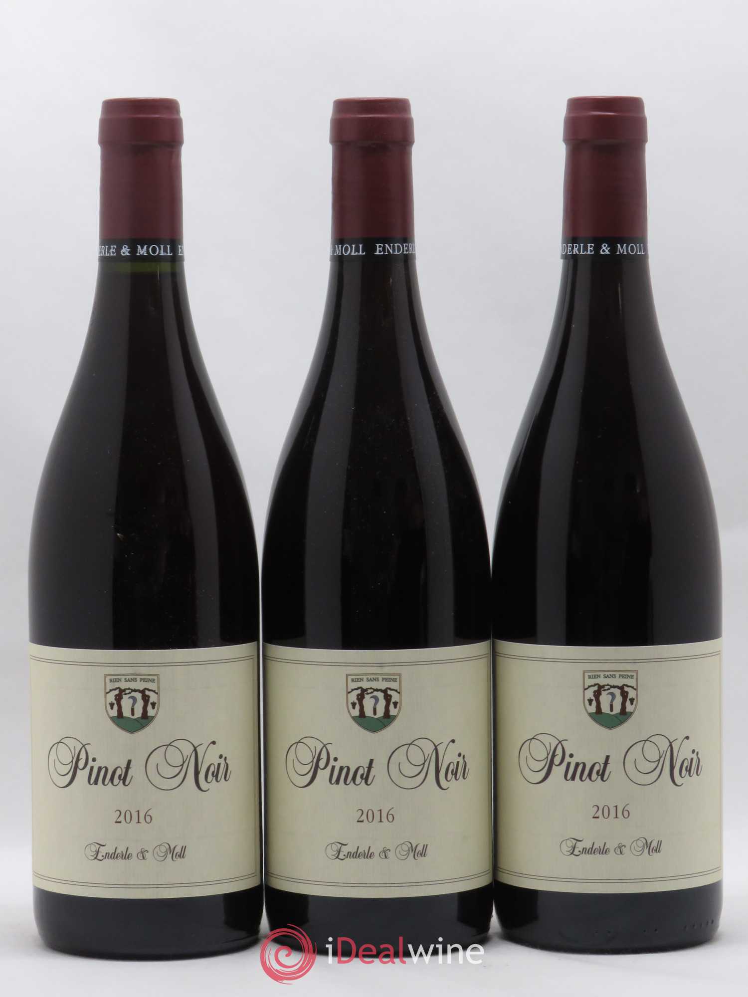 Allemagne Landwein Oberrhein pinot noir Enderle Und Moll 2016 - Posten von 6 Flaschen - 1