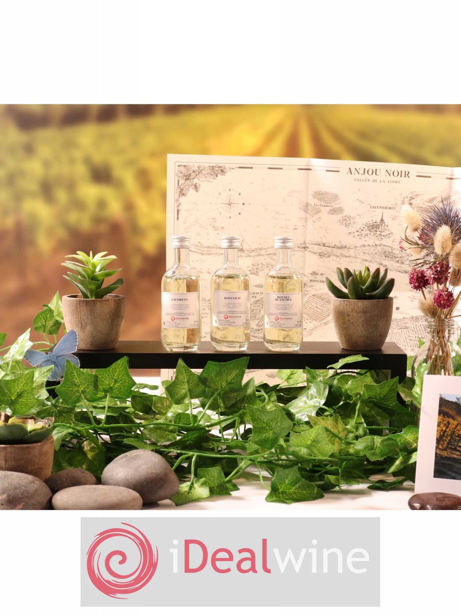 Dégustation Domaine Belargus Coffret 3 flacons (3 x 5cl) - Lot de 1 bouteille - 0