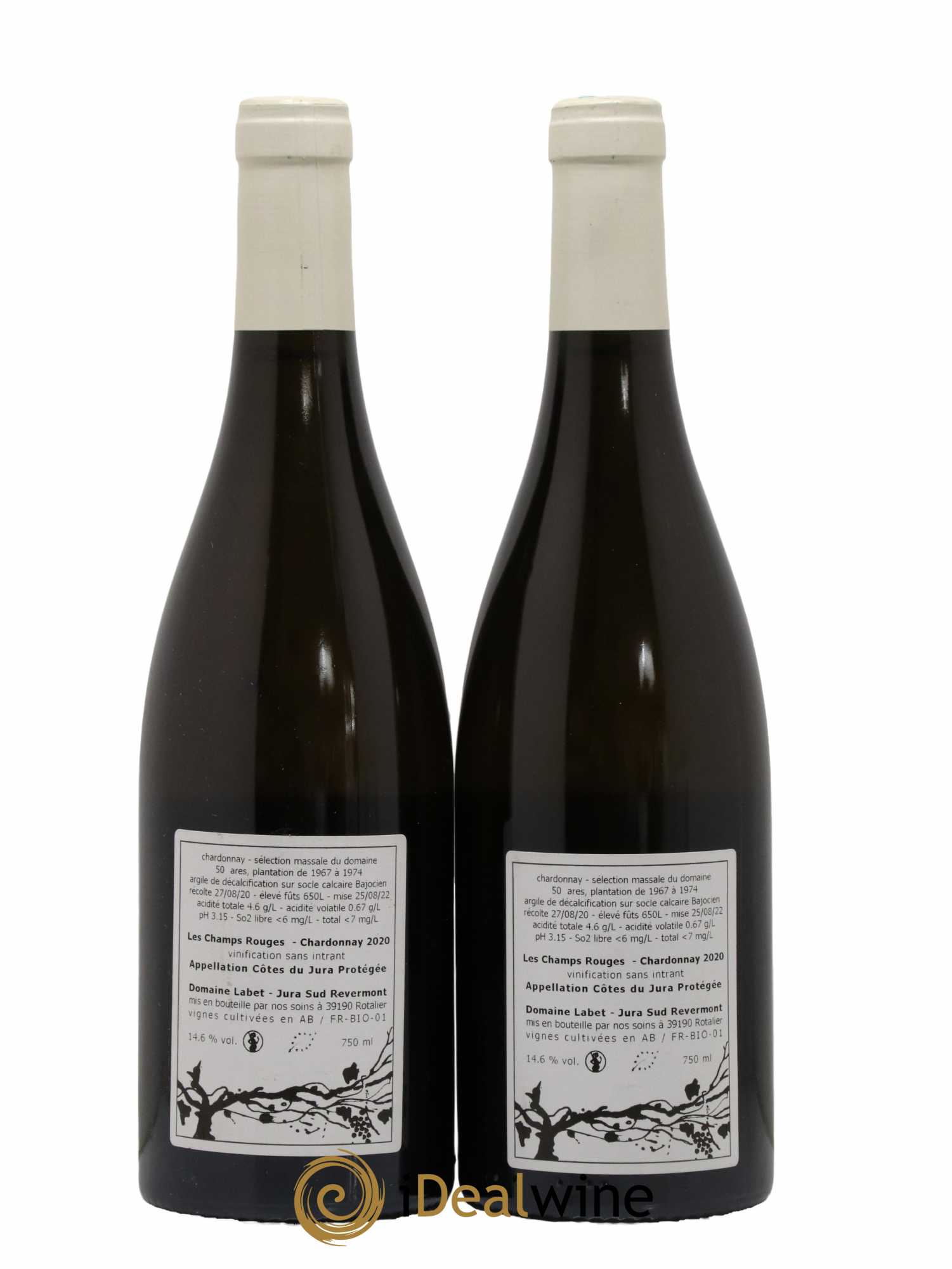 Côtes du Jura Chardonnay Les Champs Rouges Romain - Julien  - Charline Labet 2020 - Lot de 2 bouteilles - 1