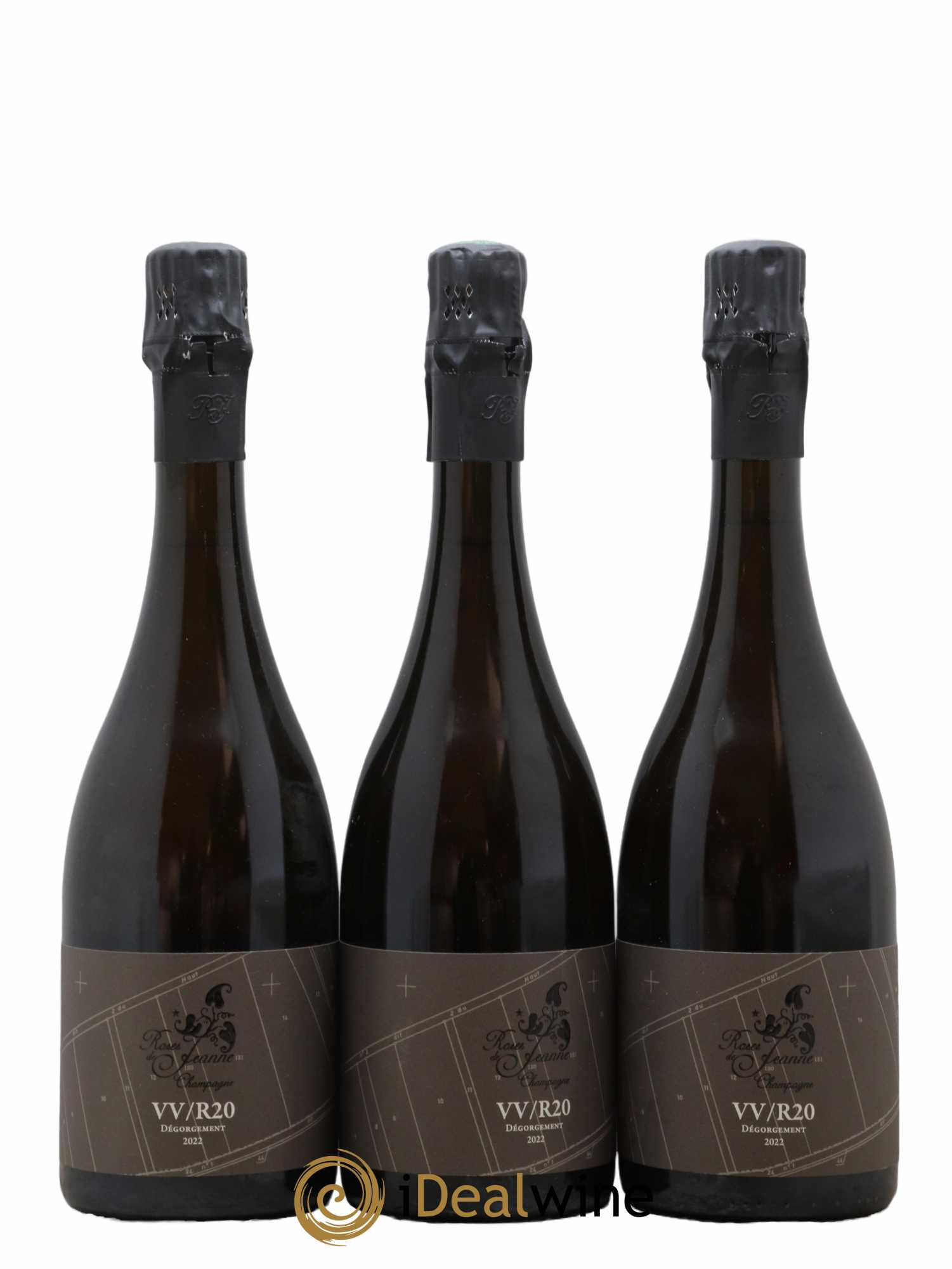 Roses de Jeanne Côte de Val Vilaine Blanc de Noirs Cédric Bouchard Brut 2020 - Lot de 3 bouteilles - 0