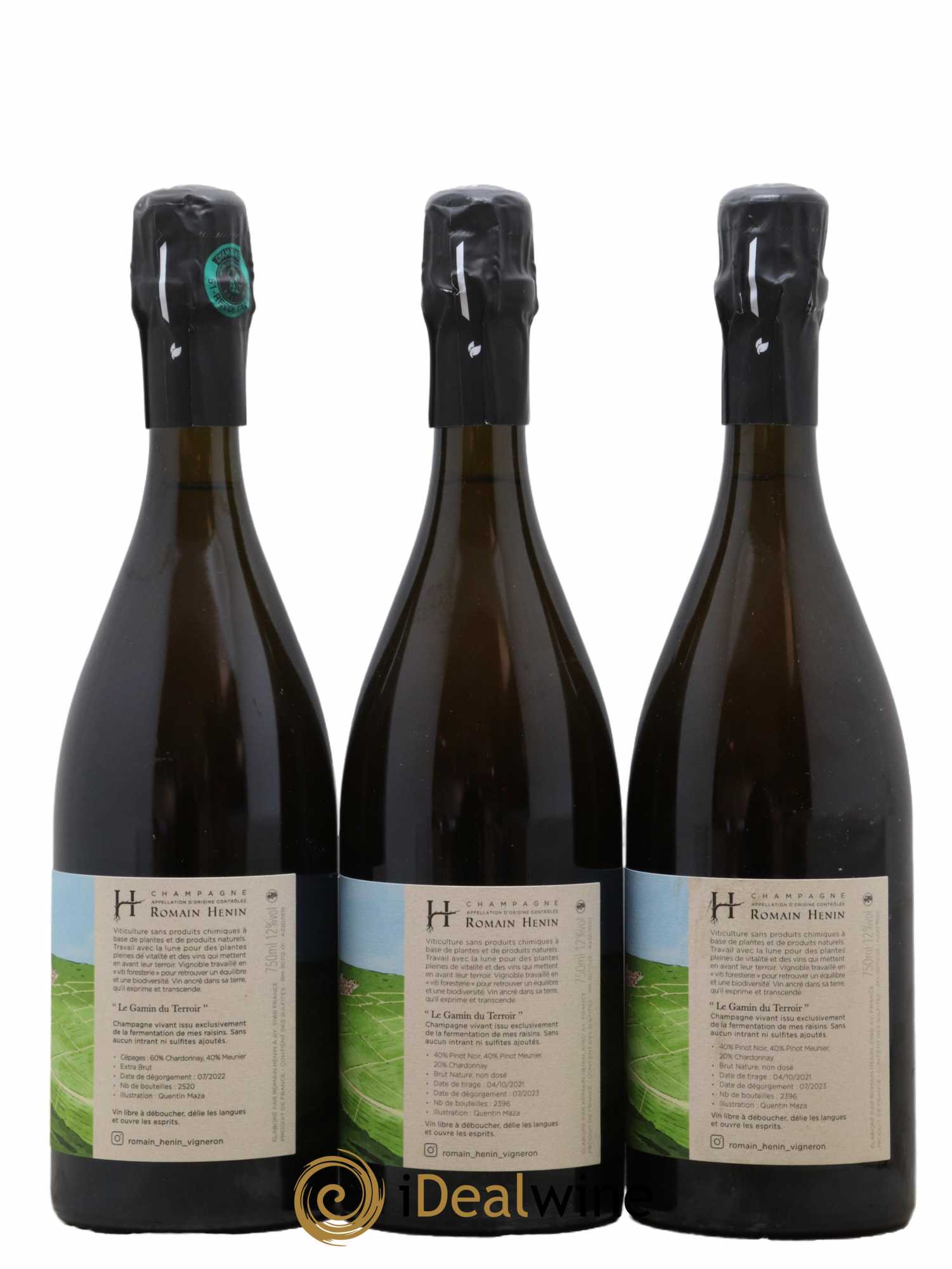 Gamin du Terroir Romain Henin - Lot of 3 bottles - 1