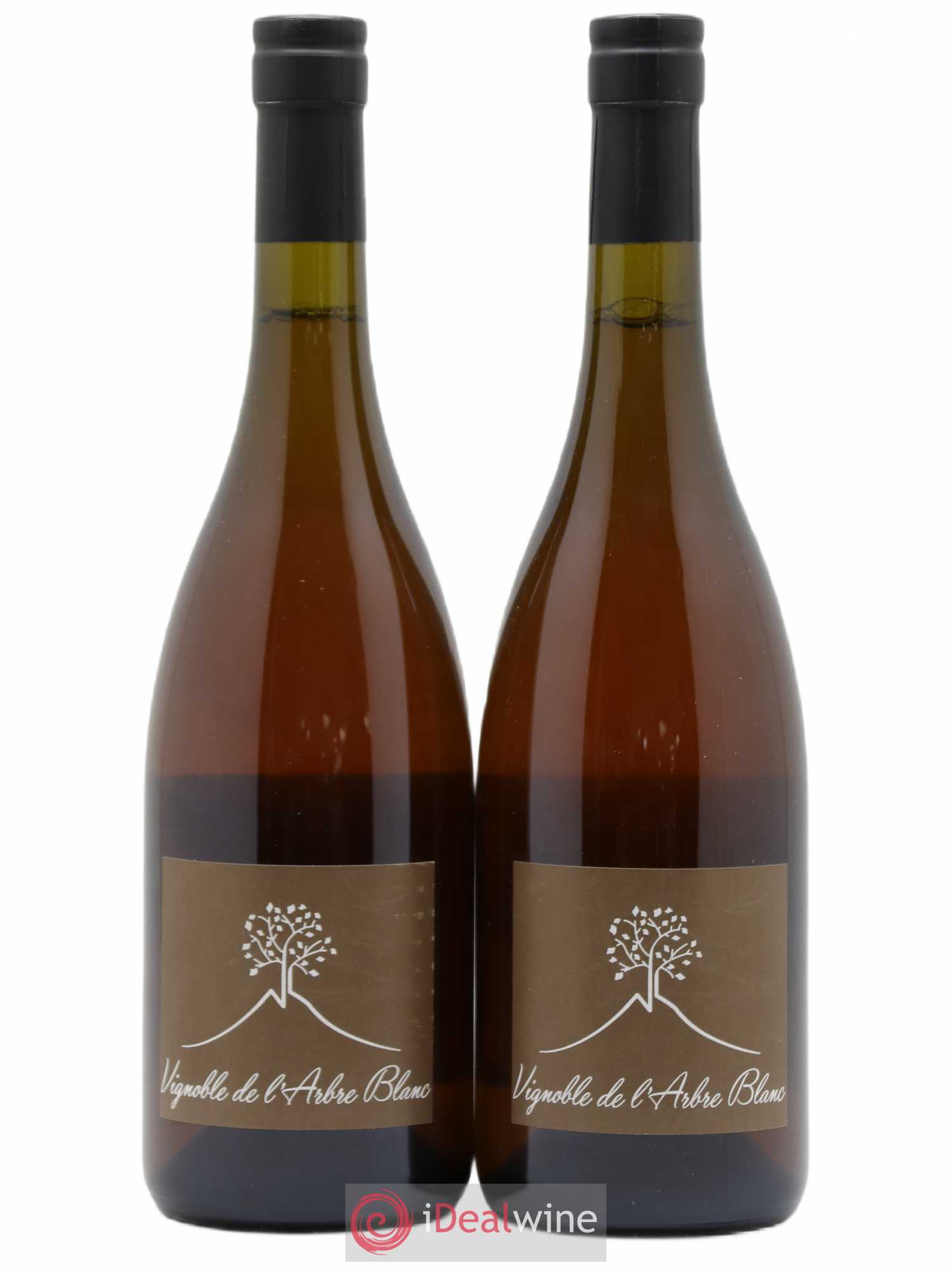 Vin de France Les Fesses Vignoble de l'Arbre Blanc 2018 - Lot de 2 bouteilles - 0