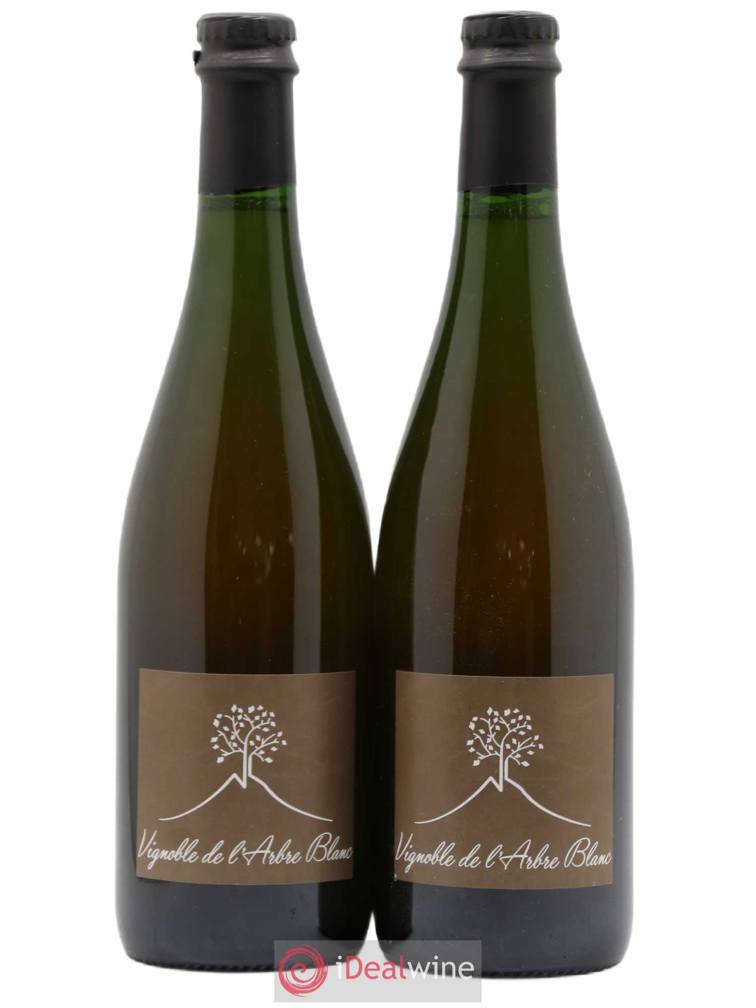 Vin de France Les Fesses Vignoble de l'Arbre Blanc 2017 - Lot de 2 bouteilles - 0