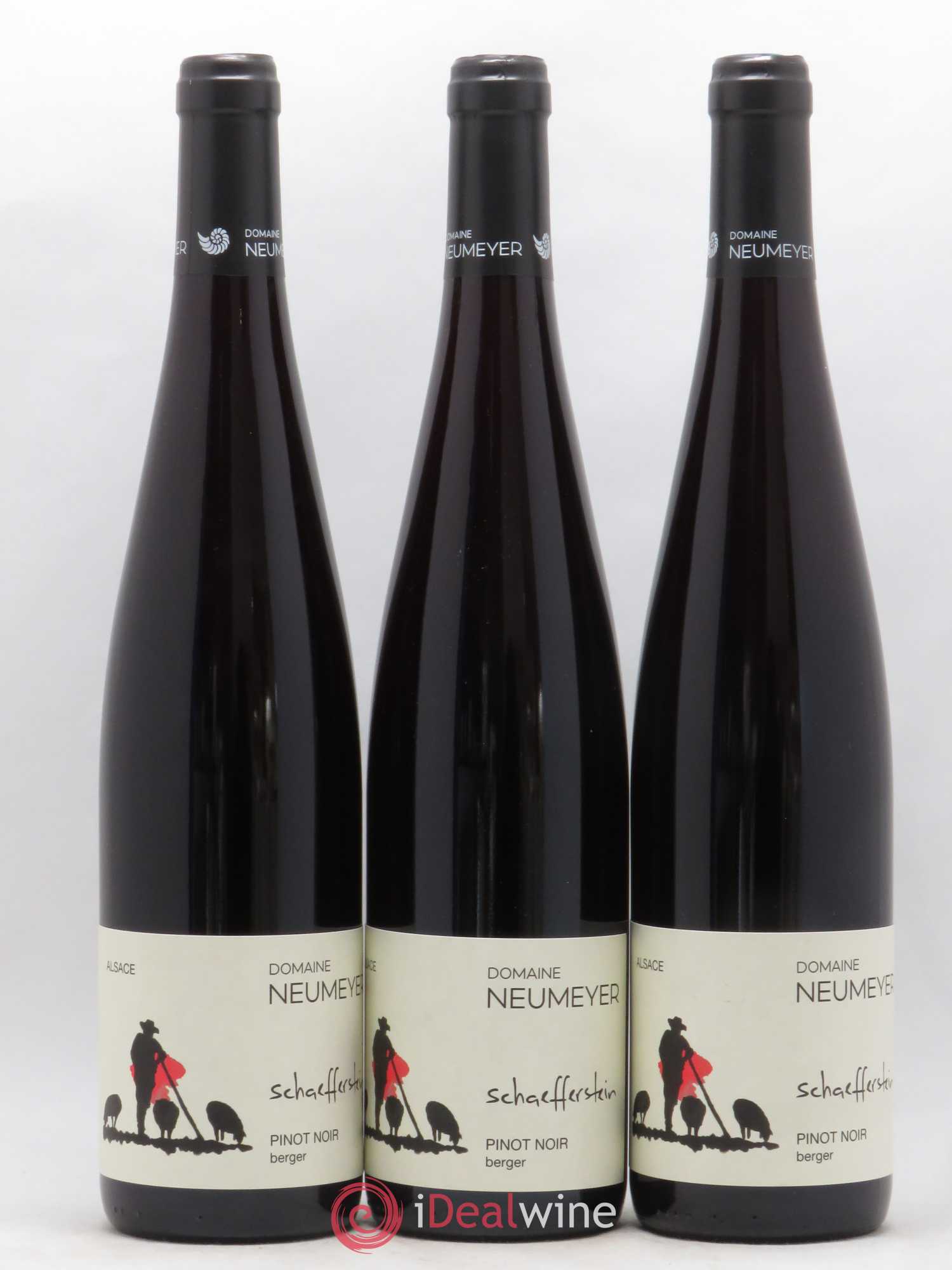 Pinot Noir Neumeyer Berger 2019 - Lot of 6 bottles - 1