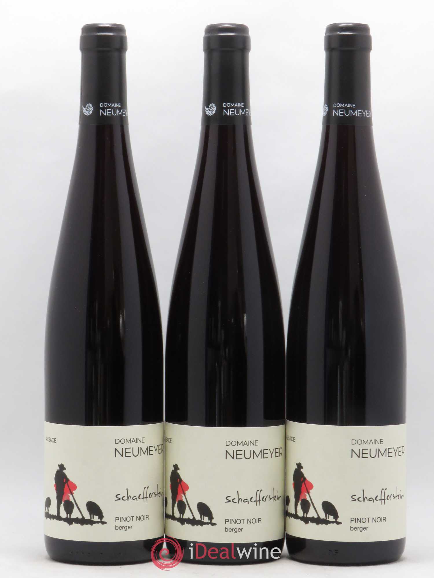 Pinot Noir Neumeyer Berger 2019 - Lot of 6 bottles - 3